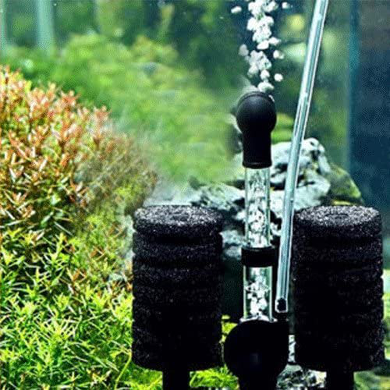 Aquapapa 4X Dual Bio Sponge Filter for Betta Fry Aquarium Fish Tank up to 30 Gallon (Ship from CA USA) Animals & Pet Supplies > Pet Supplies > Fish Supplies > Aquarium Filters Aquapapa