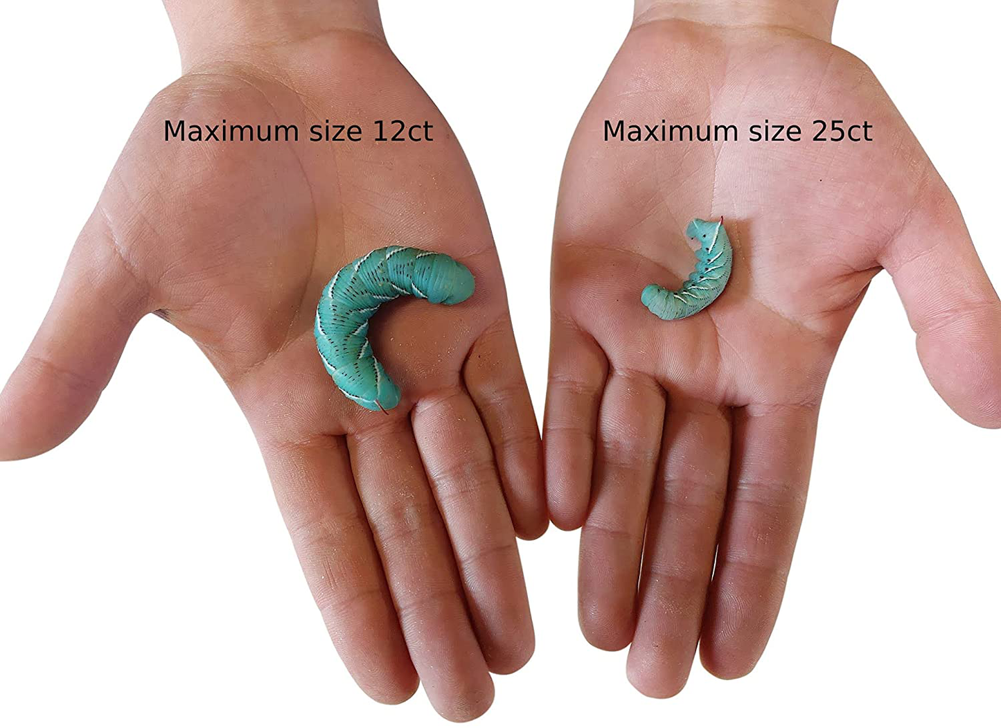 Josh'S Frogs Hornworms Habitat Cups Animals & Pet Supplies > Pet Supplies > Reptile & Amphibian Supplies > Reptile & Amphibian Food Josh's Frogs