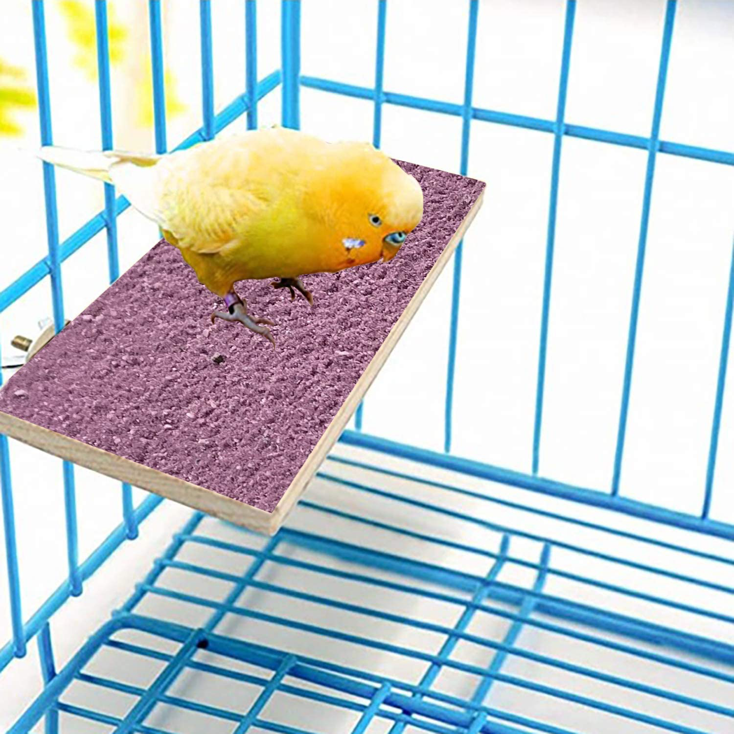 WANBAO 3 Pcs Bird Stand Platform, Wood Playground Paw Grinding Clean, for Pet Parrot, Rat Mouse Cage Accessories Exercise Toys, Random Color Animals & Pet Supplies > Pet Supplies > Bird Supplies > Bird Cage Accessories WANBAO