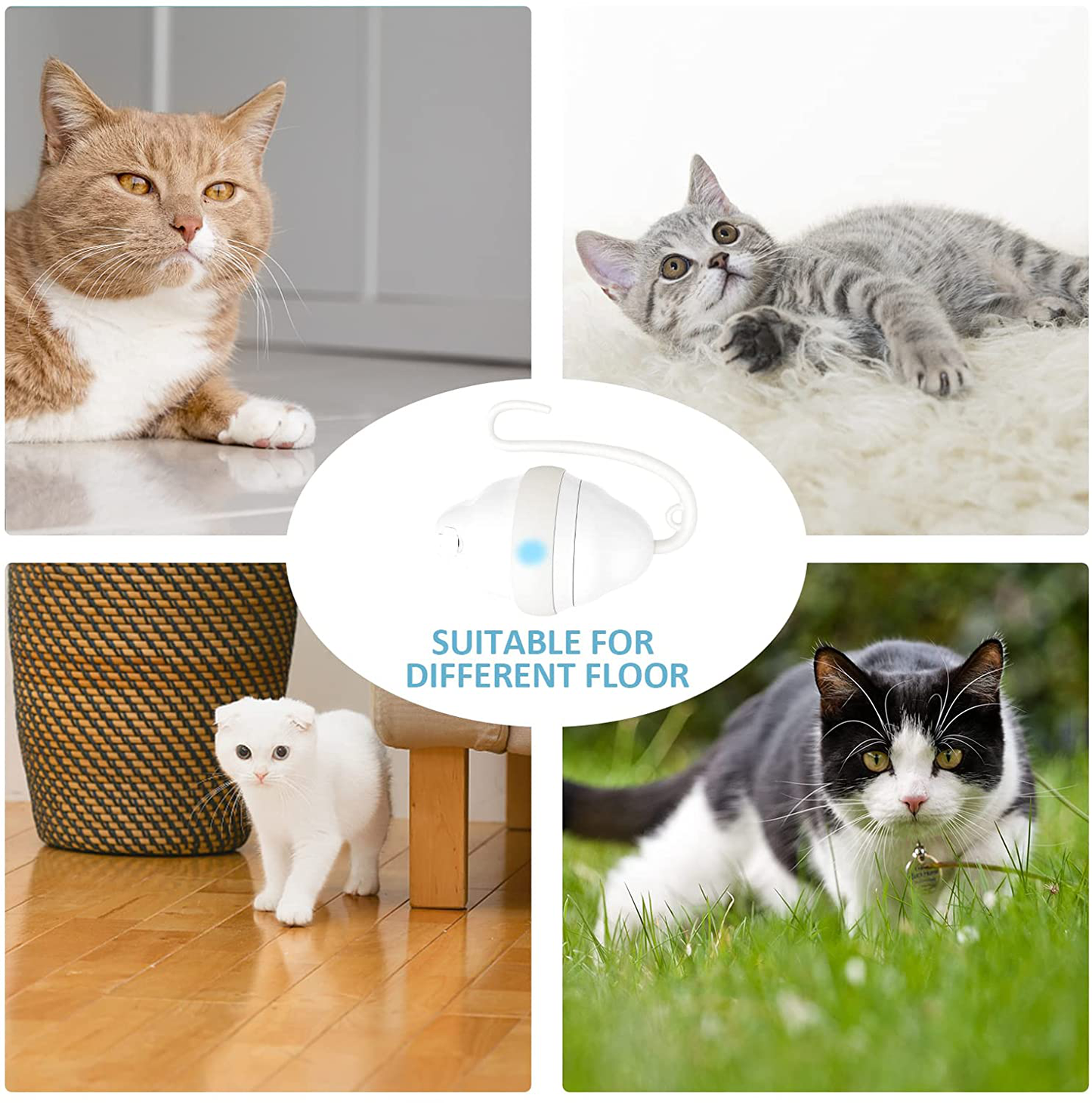 Harnestle Cat Toys Interactive Automatic Kitten Toys with Feathers Ribbon Bell Worm, USB Charging Led Light 360° Irregular Rolling Cat Moving Toys for Indoor Cats Exercise and Hunting Animals & Pet Supplies > Pet Supplies > Cat Supplies > Cat Toys Harnestle