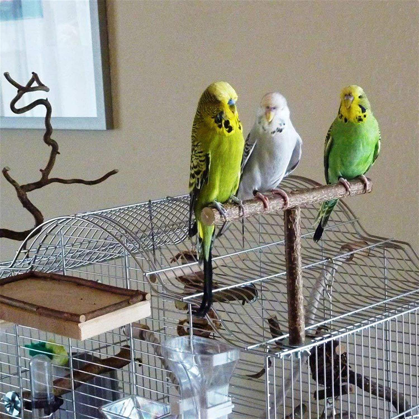NEISHUI Bird Stand Tabletop,Portable Tee Stand, Parrot Play Stand Perch Gym for Small Medium Parrot Animals & Pet Supplies > Pet Supplies > Bird Supplies > Bird Gyms & Playstands NEISHUI