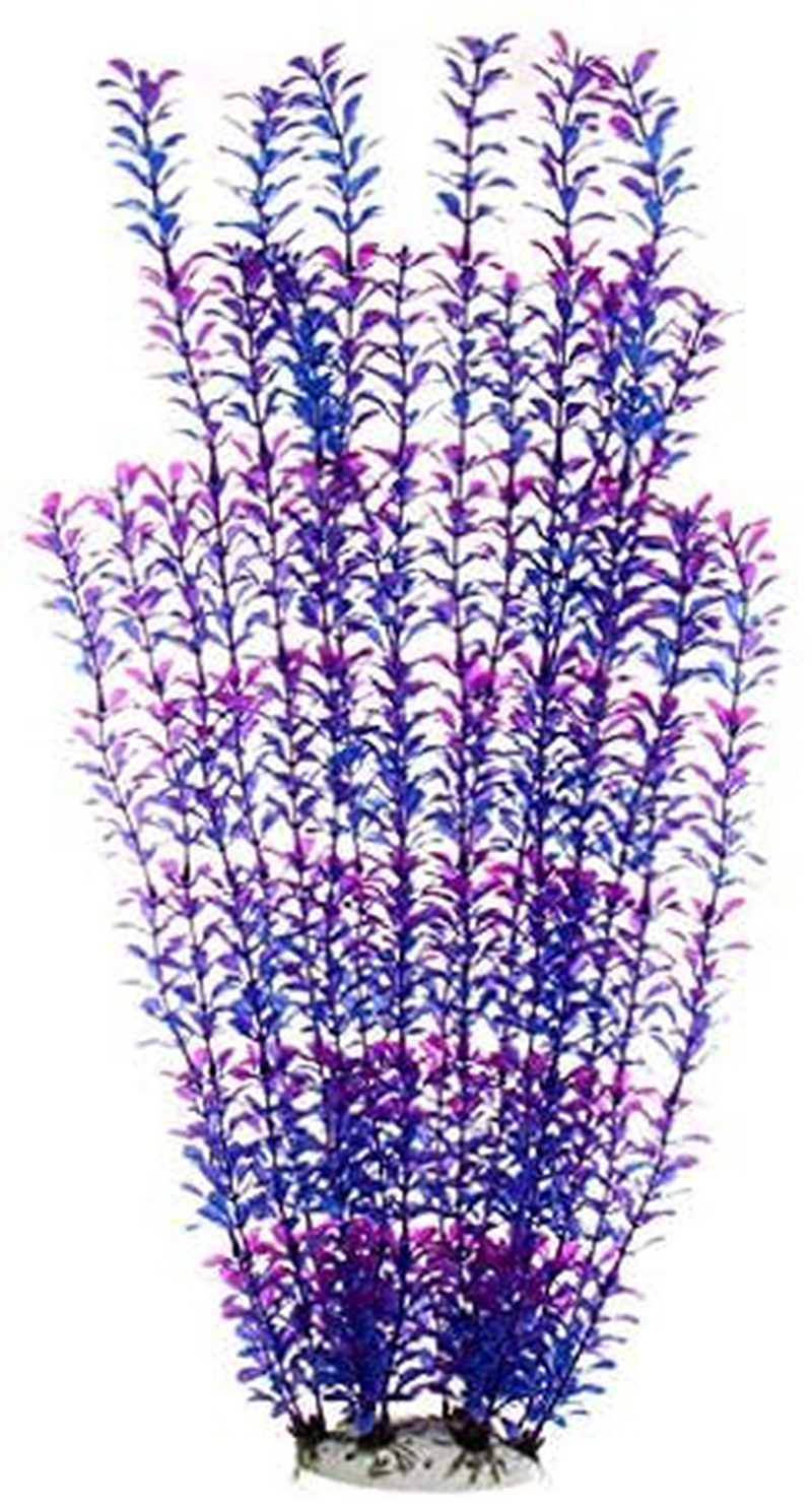 Aquarium Decorations Artificial Plants Large for Fish Tank, 21 Inches,Safe for All Fish ( Purple 1 Pcs) Animals & Pet Supplies > Pet Supplies > Fish Supplies > Aquarium Decor Alegi Purple