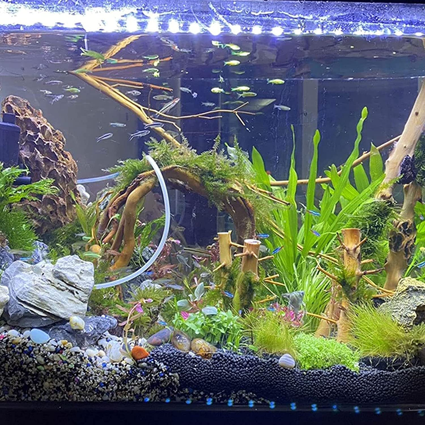 Kathson Aquarium Driftwood Branches, 10 Pcs Natural Forest Branches Aquarium Decoration Wood Decor for Fish Tank Terrarium Animals & Pet Supplies > Pet Supplies > Fish Supplies > Aquarium Decor kathson