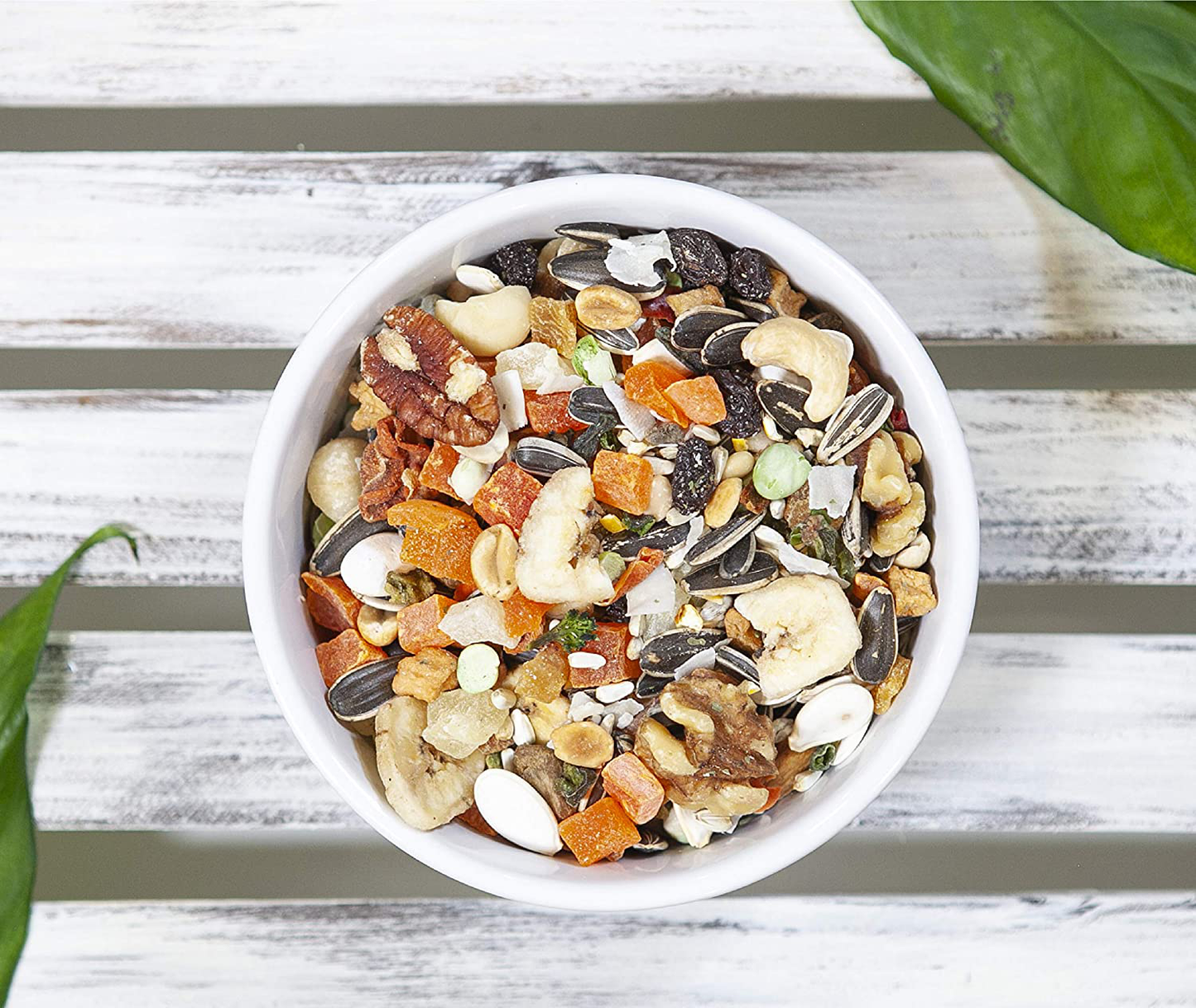 Dr. Harvey'S Perfect Parrot Blend - Natural Food for Large Parrots Animals & Pet Supplies > Pet Supplies > Bird Supplies > Bird Food Dr. Harvey's