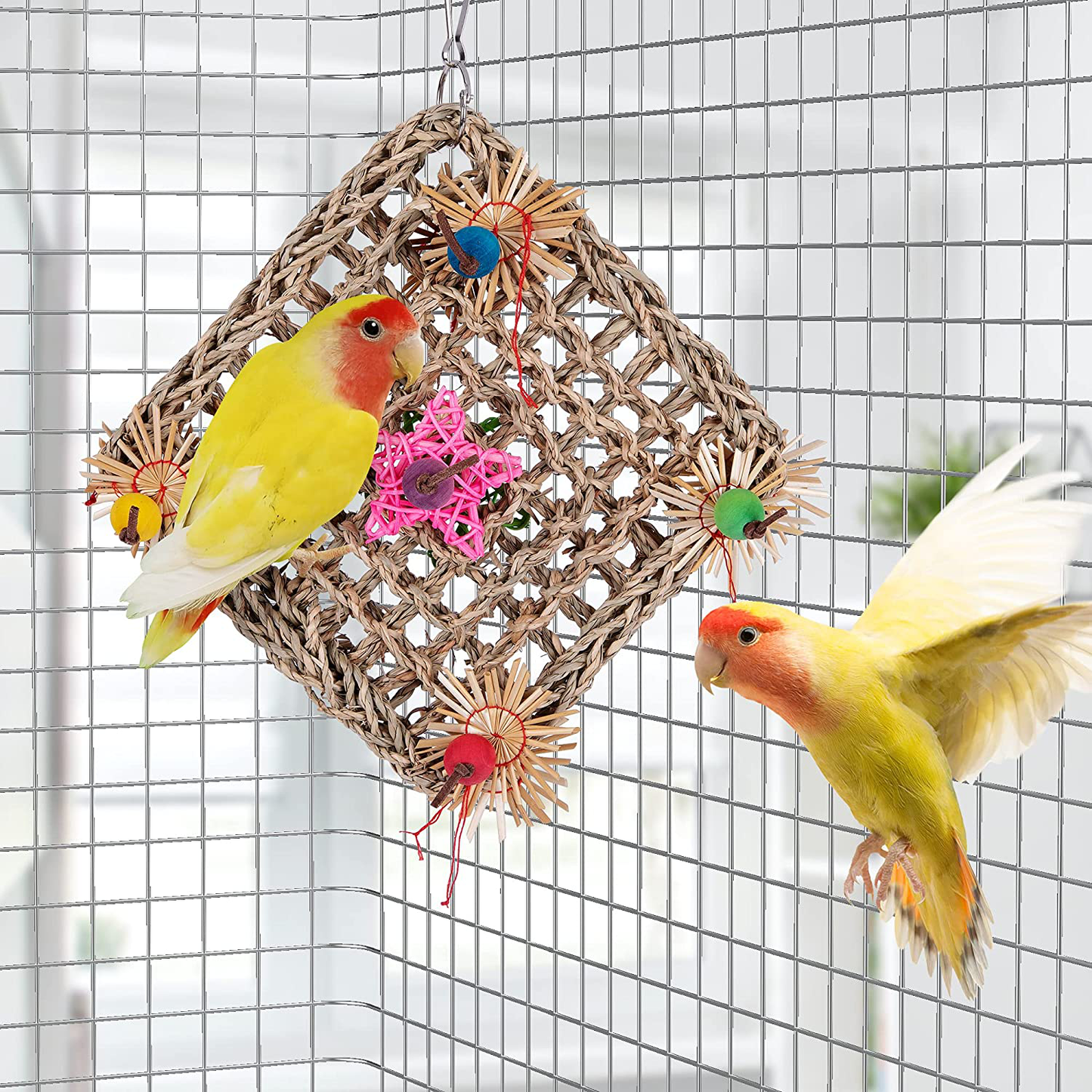 Kewkont Bird Parrot Toys,Seagrass Foraging Wall Toy for Birds,Suitable for Small Parakeets,Budgie,Macaws,Conures,Finches,Love Birds Animals & Pet Supplies > Pet Supplies > Bird Supplies > Bird Toys Kewkont