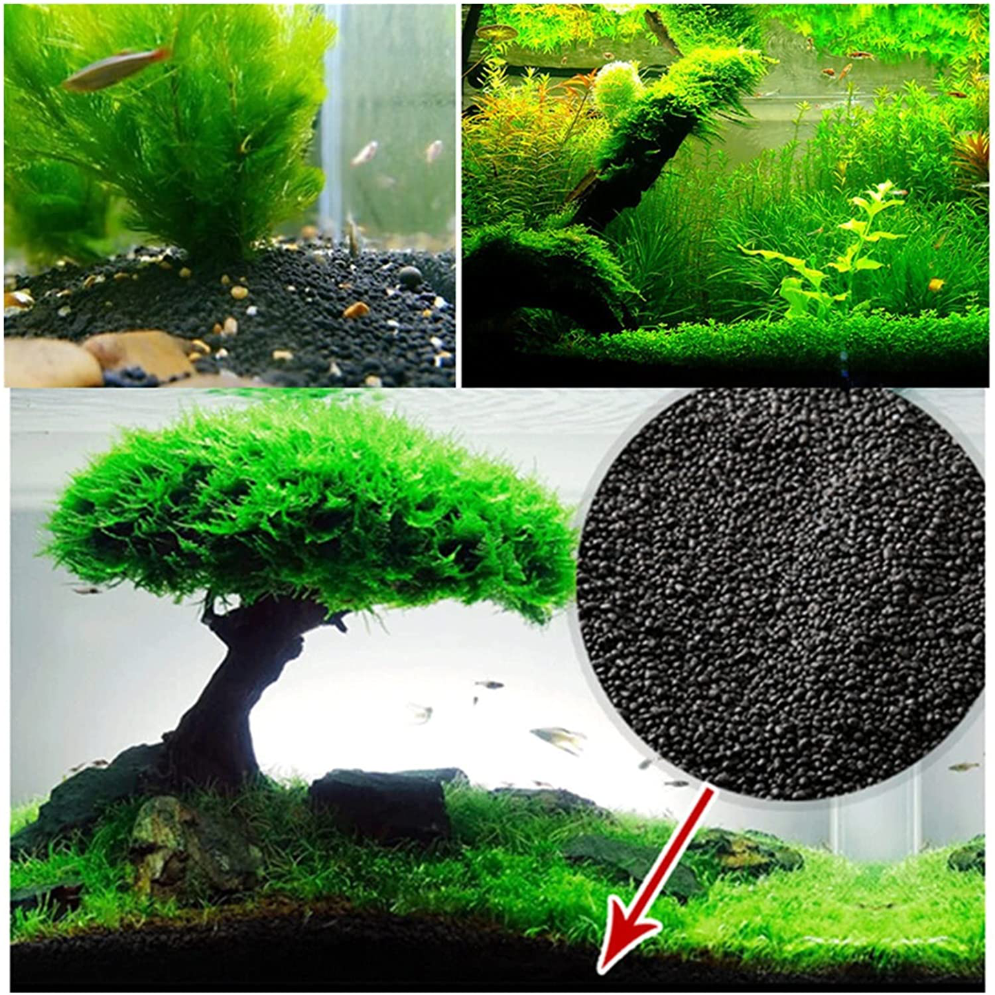 QXLZG Aquarium Sand Water Plant Aquarium Substrate Soil Fish Tank Grass Plant Fertility Substrate Gravel for Fish Tank Grass Moss Landscaping Decor Beautiful Animals & Pet Supplies > Pet Supplies > Fish Supplies > Aquarium Gravel & Substrates QXLZG