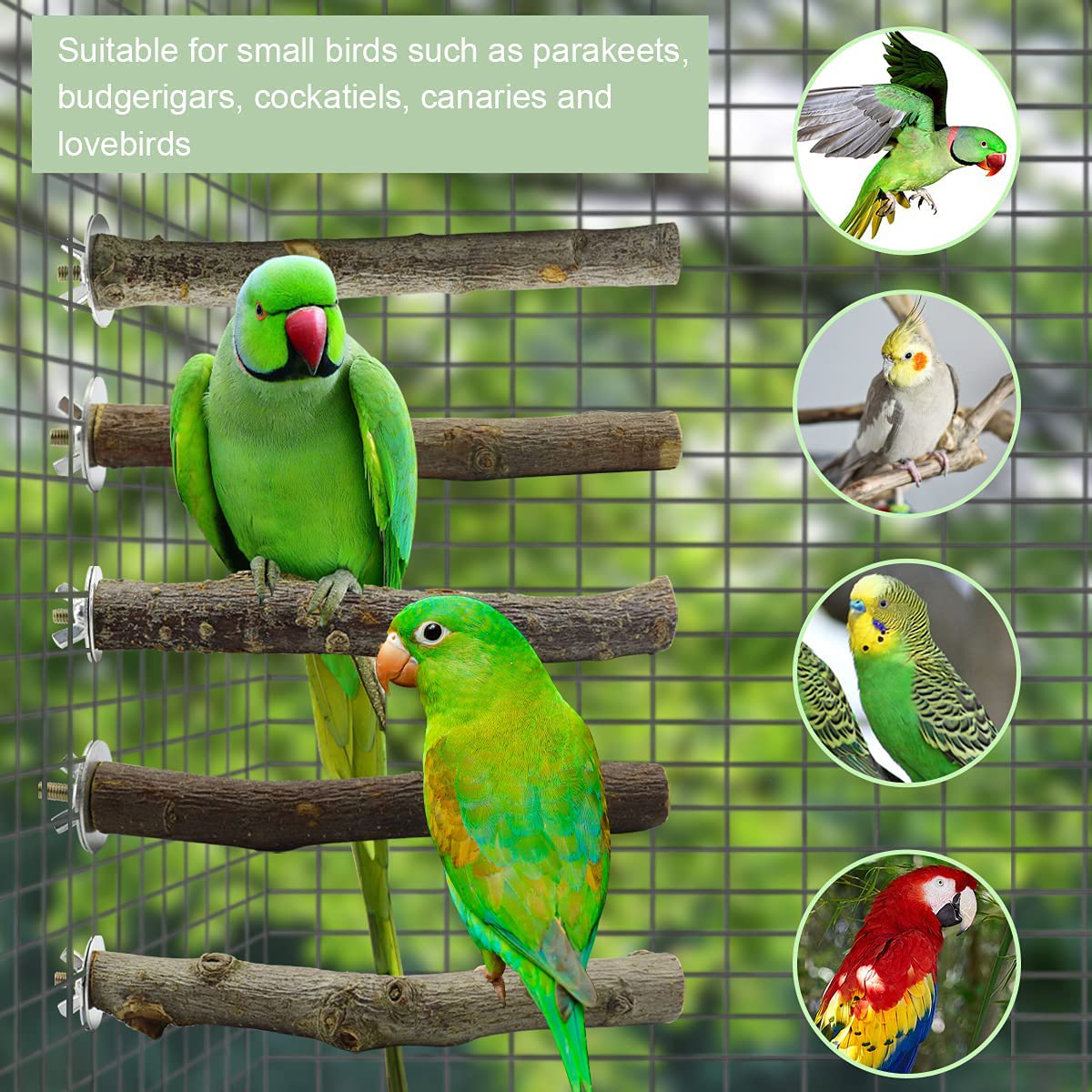 Storystore Bird Perches Natural Wood Parrot Perch for Parakeet Cage Accessories Parakeet Toys for Parrots, Parakeets Cockatiels, Conures, Macaws, Love Birds, Finches Animals & Pet Supplies > Pet Supplies > Bird Supplies > Bird Cage Accessories Storystore