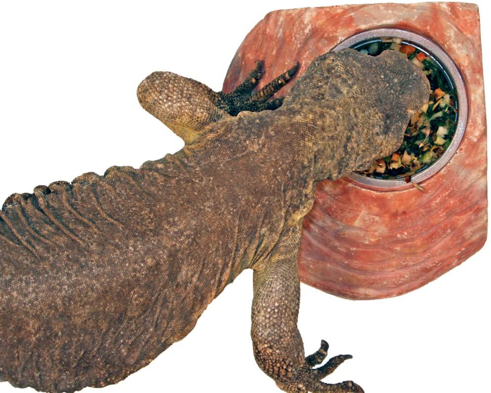 Healthy Herp Instant Meal Veggie Mix Animals & Pet Supplies > Pet Supplies > Reptile & Amphibian Supplies > Reptile & Amphibian Food Healthy Herp