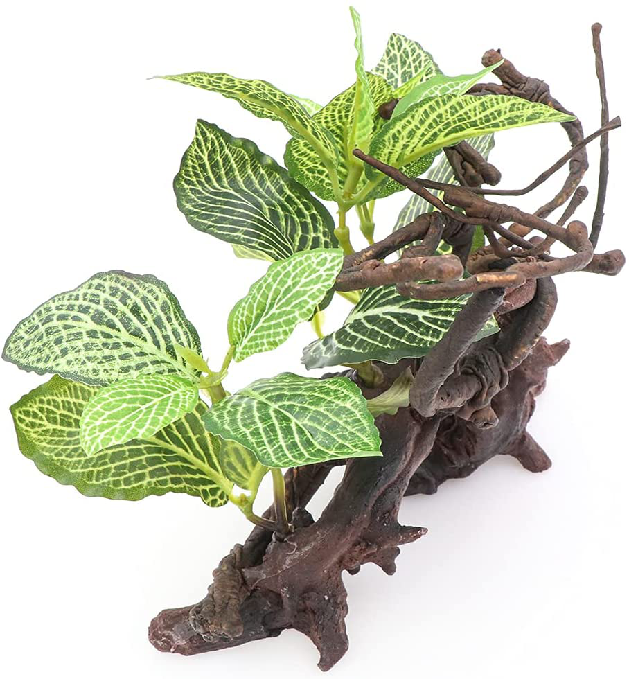 HRRIVE Reptile Rain Forest Ground Plants Decorations for Lizard Snake Bearded Dragon Crested Gecko Amphibian and Terrarium Habitat Decor Animals & Pet Supplies > Pet Supplies > Reptile & Amphibian Supplies > Reptile & Amphibian Habitat Accessories HRRIVE