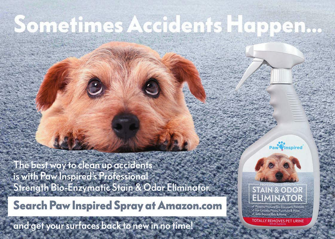 Paw Inspired Disposable Dog Diapers | Female Dog Diapers Ultra Protection |Puppy Diapers, Diapers for Dogs in Heat, or Dog Incontinence Diapers (144 Count, X-Small) Animals & Pet Supplies > Pet Supplies > Dog Supplies > Dog Diaper Pads & Liners Paw Inspired