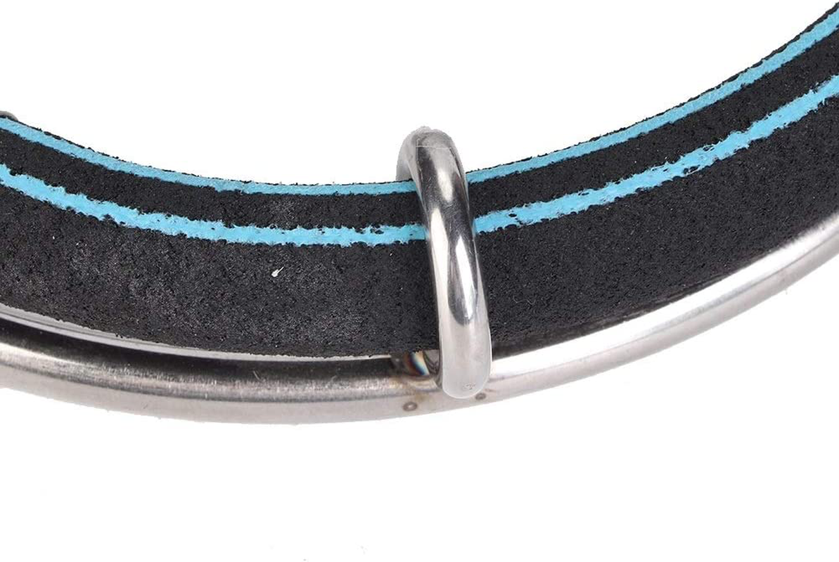 Conlense Pond Diffuser Aeration Tank Air Stone Pool Diffuser Diffuser Ring Aquarium round Bubble Diffuser Ring Fish Pond Aeration Bubbler (Single Ring Diameter 15Cm) Animals & Pet Supplies > Pet Supplies > Fish Supplies > Aquarium Air Stones & Diffusers Conlense