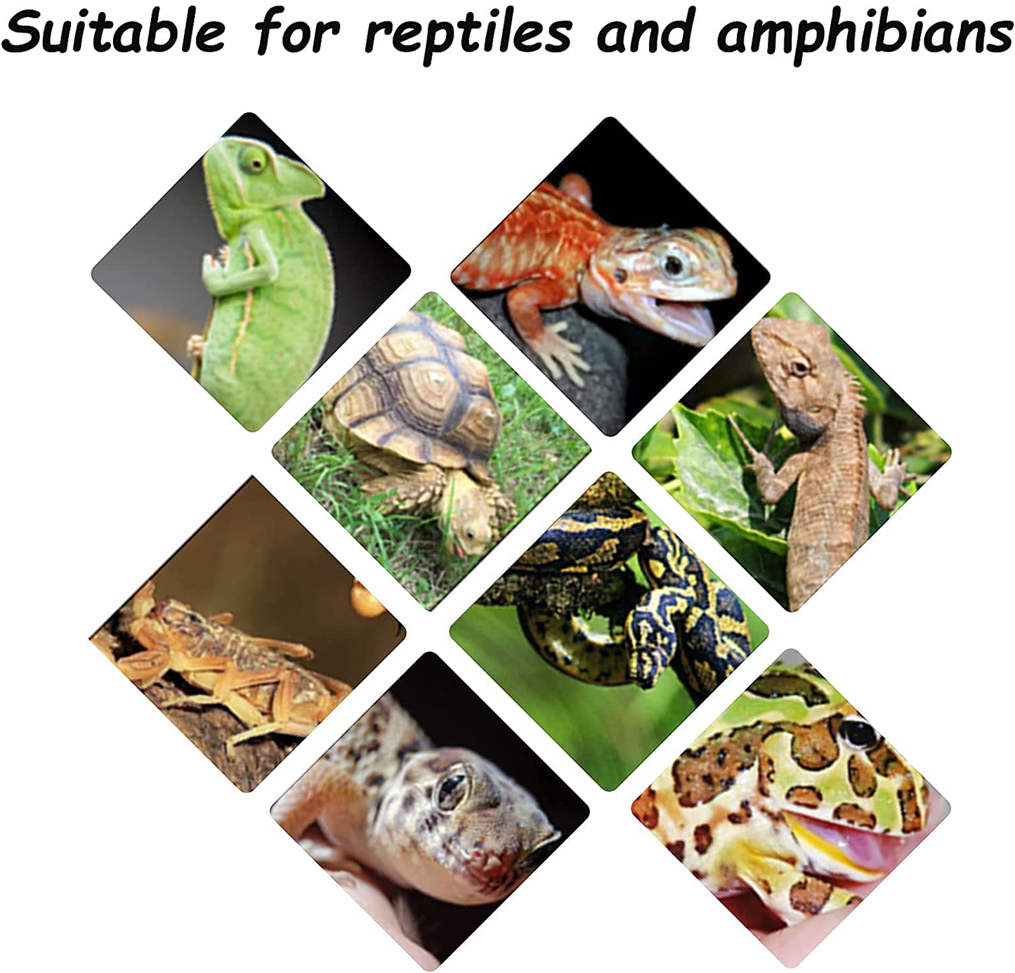 Hamiledyi Reptile Hideout Wooden Bridge Hiding Hut 4Pack Bearded Dragon Hide Caves Lizard Habitat Accessories for Iguana, Tortoise, Gecko, Chameleon, Snake, Frog, Amphibia Animals & Pet Supplies > Pet Supplies > Small Animal Supplies > Small Animal Habitat Accessories Hamiledyi