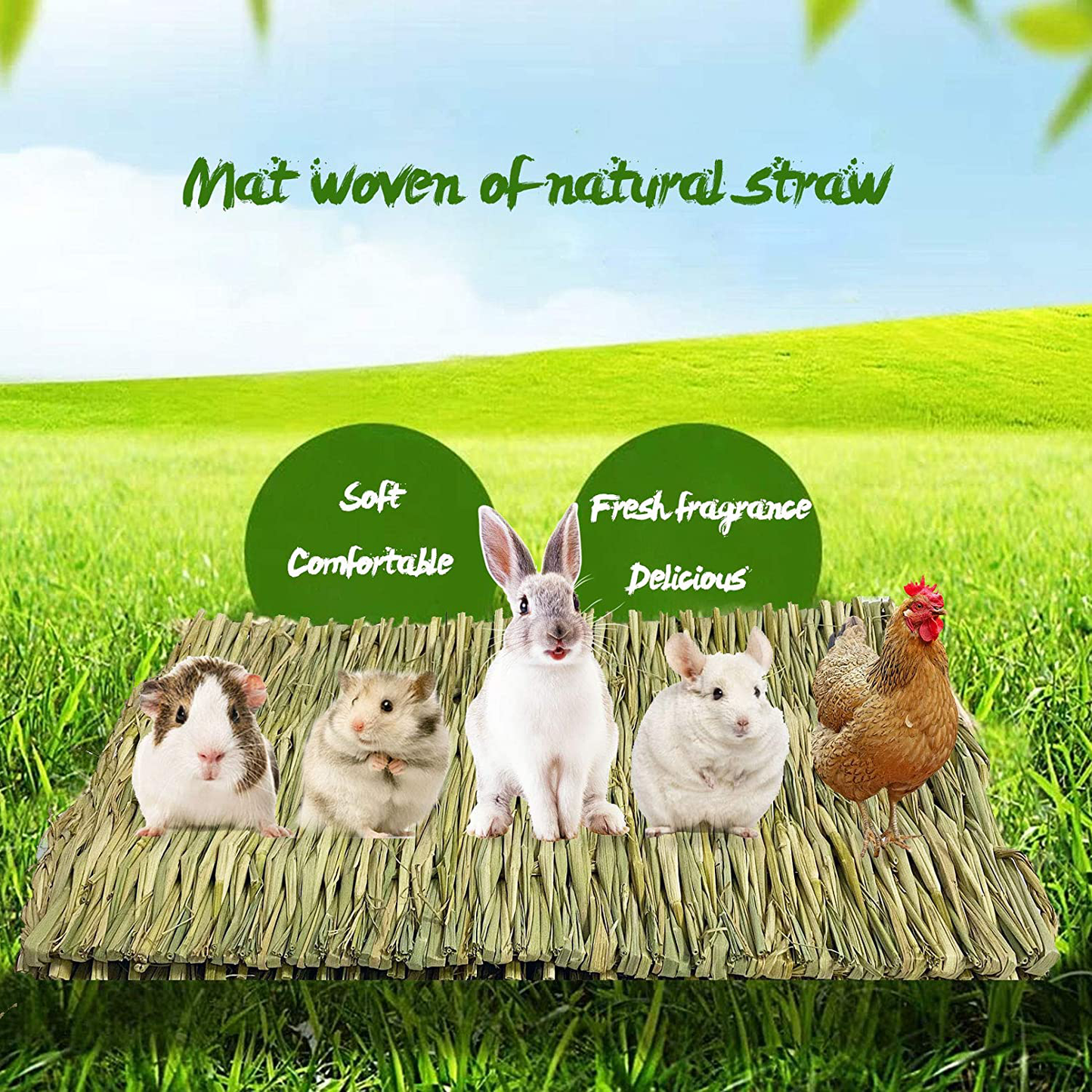 Kathson 6 PCS Rabbit Large Grass Mat Natural Grass Woven Mat Rabbits Chew Toys Grass Bedding Nest for Small Animal Bunny Rabbit Guinea Pigs Hamster Chinchillas Puppy Biddy Sleeping Chewing Animals & Pet Supplies > Pet Supplies > Small Animal Supplies > Small Animal Bedding kathson
