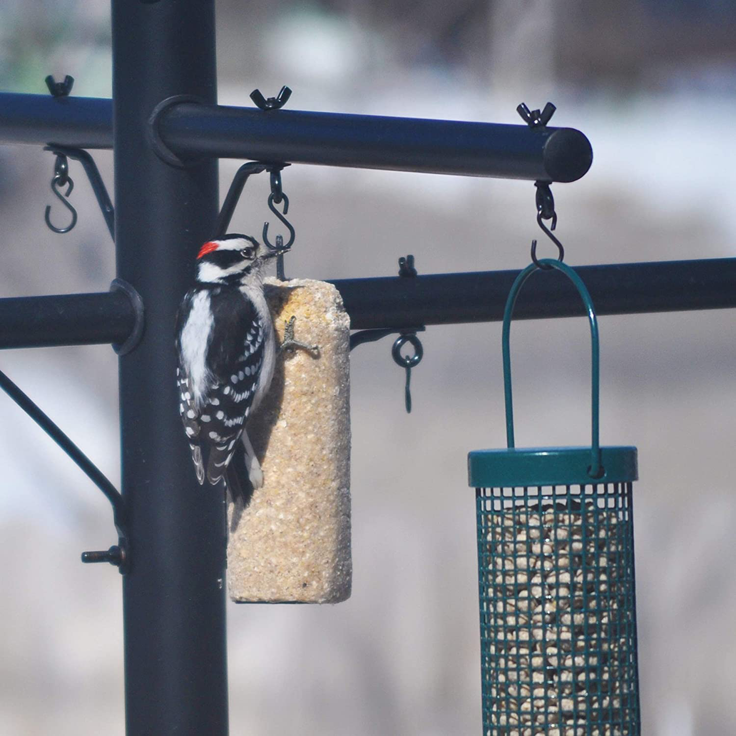 C&S Ready to Use Peanut Delight Log 2 Pound, 8 Pack Animals & Pet Supplies > Pet Supplies > Bird Supplies > Bird Treats C&S