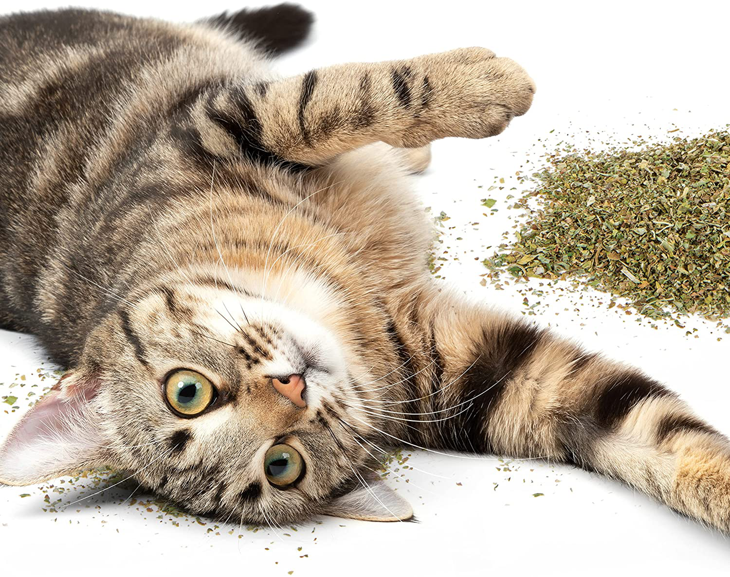 Smartykat, Organic Catnip, for Cats, 100% Certified Organic, Natural, Pure, Potent, Resealable Animals & Pet Supplies > Pet Supplies > Cat Supplies > Cat Treats SmartyKat