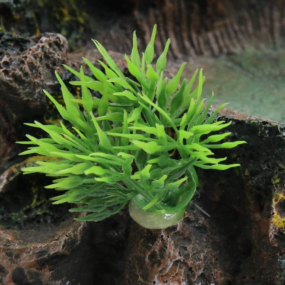 Plastic Reptile Tank Decor Resin Reptile Platform Artificial Tree Trunk Design Reptile Water Dish Water Bowl for Lizard, Gecko, Water Frog, Other Reptile Animals & Pet Supplies > Pet Supplies > Reptile & Amphibian Supplies > Reptile & Amphibian Habitat Accessories Chneeu