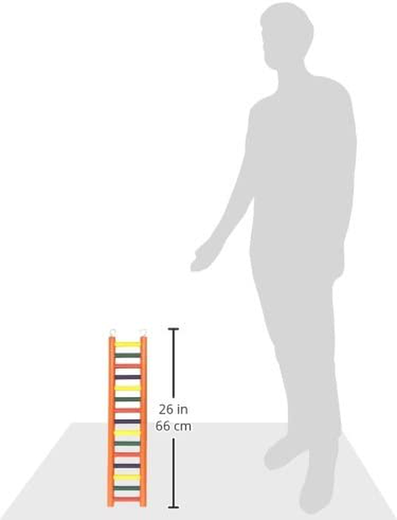 Prevue Pet Products BPV01139 Carpenter Creations Hardwood Bird Ladder with 15 Rungs, 24-Inch, Colors Vary Animals & Pet Supplies > Pet Supplies > Bird Supplies > Bird Ladders & Perches Prevue Pet Products