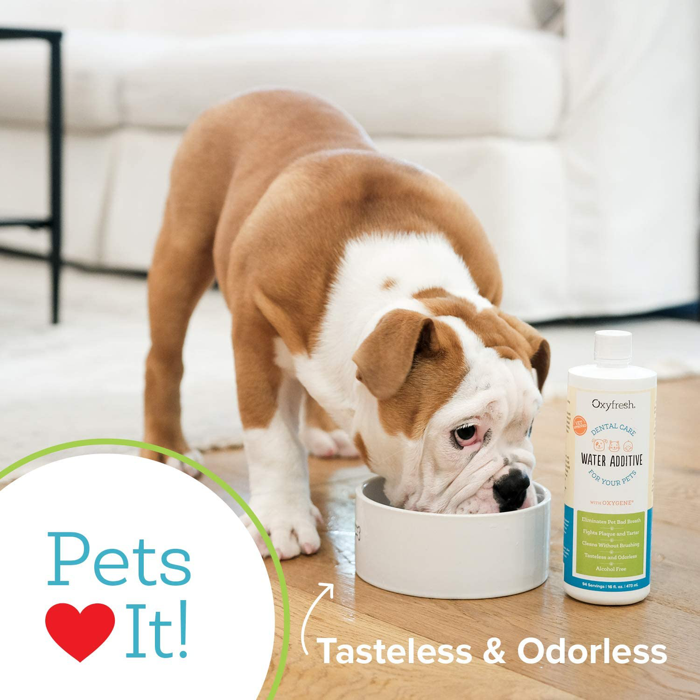 Oxyfresh Premium Pet Dental Care Solution Pet Water Additive: Best Way to Eliminate Bad Dog Breath and Cat Breath - Fights Tartar and Plaque - so Easy, Just Add to Water! Vet Recommended Animals & Pet Supplies > Pet Supplies > Bird Supplies > Bird Treats Oxyfresh