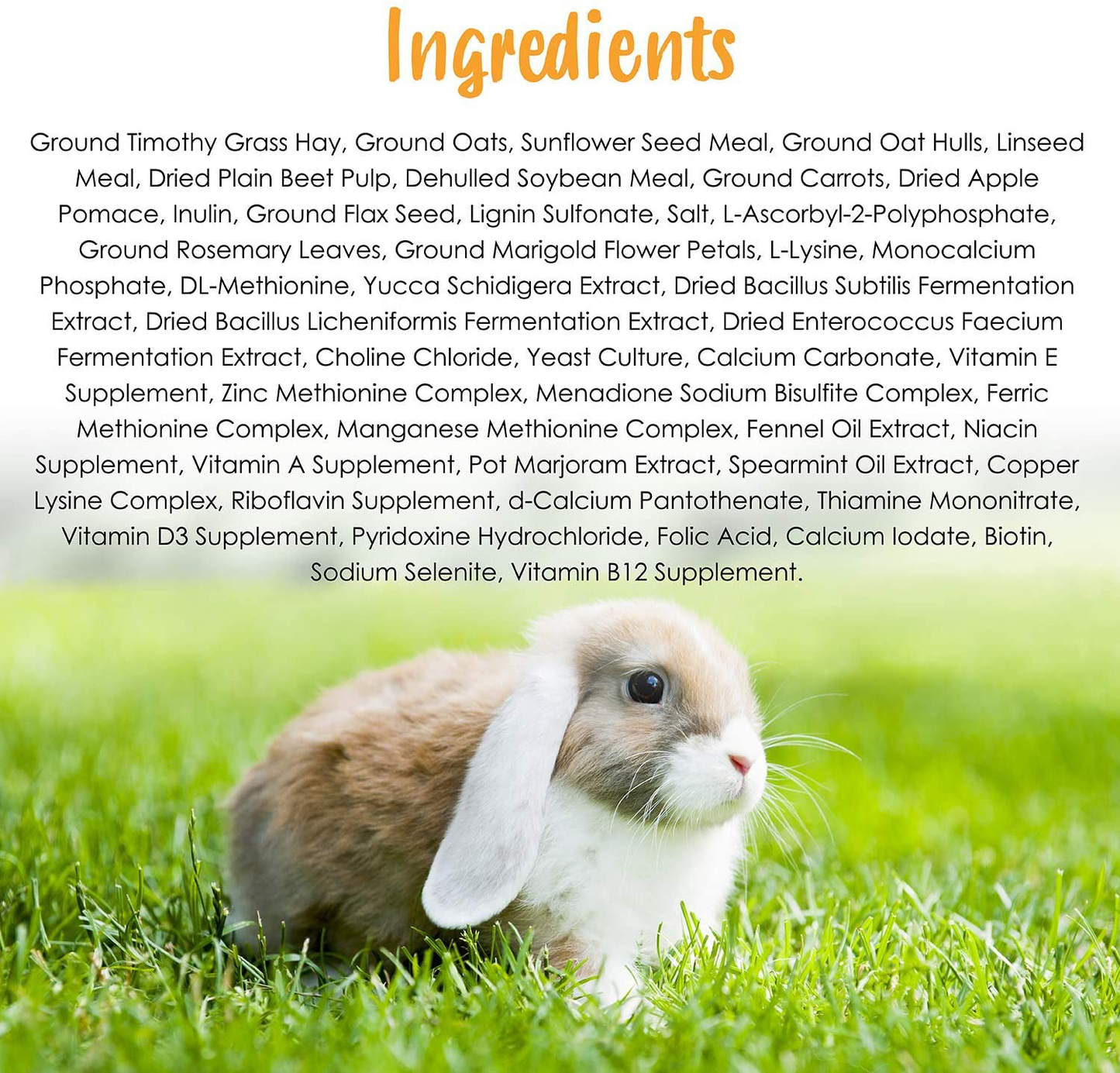 Sunseed 2 Pack of Vita Balance Adult Pet Rabbit Food, 4 Pounds Each, All Natural Pellets Animals & Pet Supplies > Pet Supplies > Small Animal Supplies > Small Animal Food Sunseed