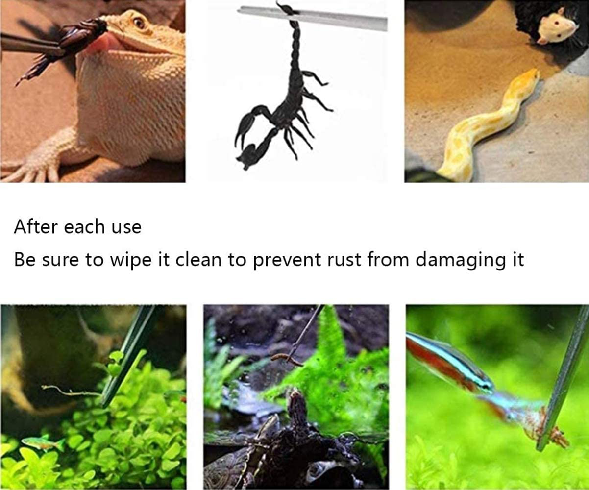 MRTIOO Reptile Stainless Steel Long Tweezers Feeding Tongs, Lizards Snake Gecko and Tarantula Supplies - Silver 2Pcs Animals & Pet Supplies > Pet Supplies > Reptile & Amphibian Supplies > Reptile & Amphibian Habitat Heating & Lighting MRTIOO