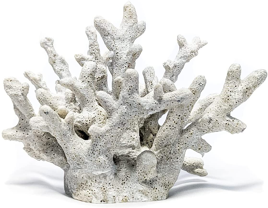 Nautical Crush Trading Decorative Sea Coral - 4In X 3.5In X 2.5In - Small White Coral for Beachy Decor - Perfect for Aquariums - Fish Tanks Animals & Pet Supplies > Pet Supplies > Fish Supplies > Aquarium Decor Nautical Crush Trading Large