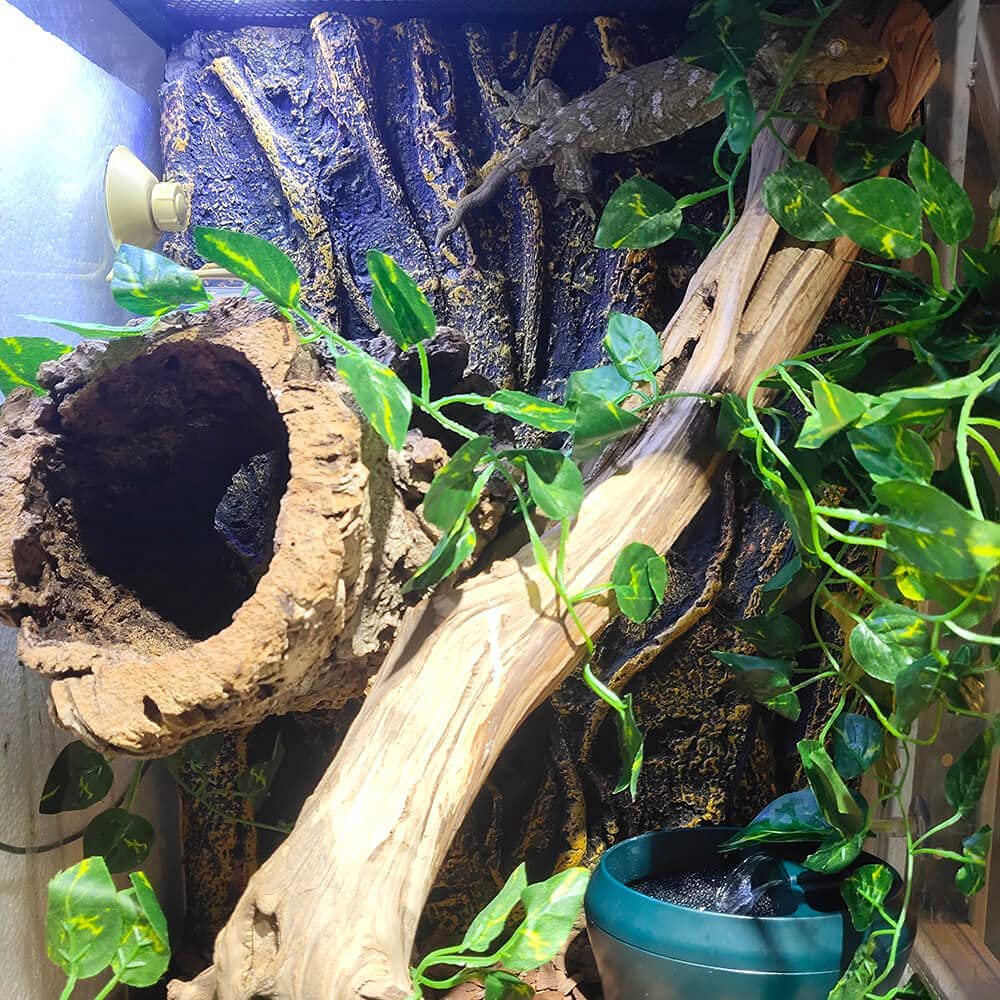 Reptile Silk Plant Leaves with Suction Cups Andwater Licking Leaves Terrarium Habitat Aquarium Amphibian Accessories, (5) (5) (S) (M) Animals & Pet Supplies > Pet Supplies > Reptile & Amphibian Supplies > Reptile & Amphibian Substrates Qiulogfen