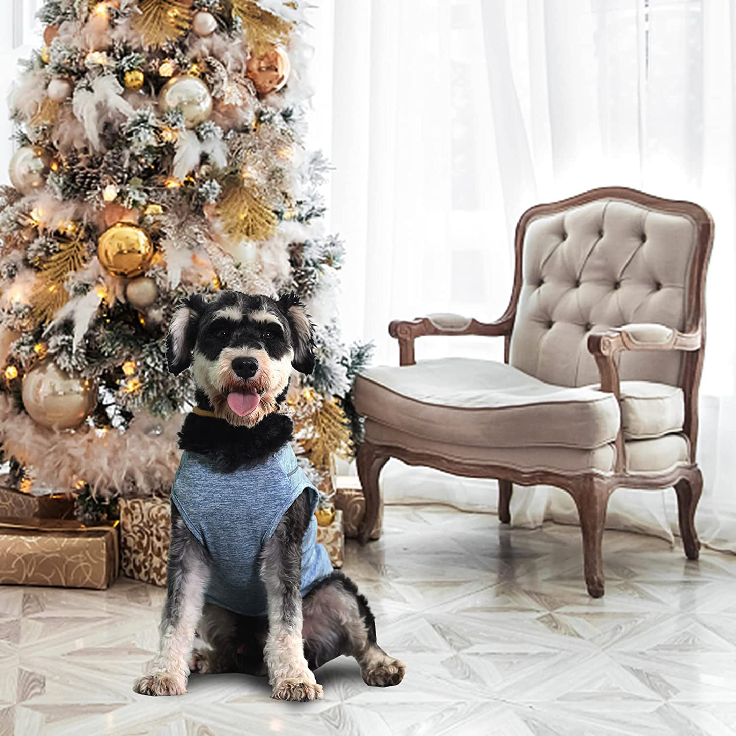 Cathpetic Dog Shirt Dog Clothes - Dog Clothes for Small Dogs Boy Excellent Craftsmanship Puppy Clothes Breathable and Lightweight Dog Shirts Quick Dry Dog T-Shirts with Reflective Label (Grey, Large) Animals & Pet Supplies > Pet Supplies > Dog Supplies > Dog Apparel Cathpetic Blue Small