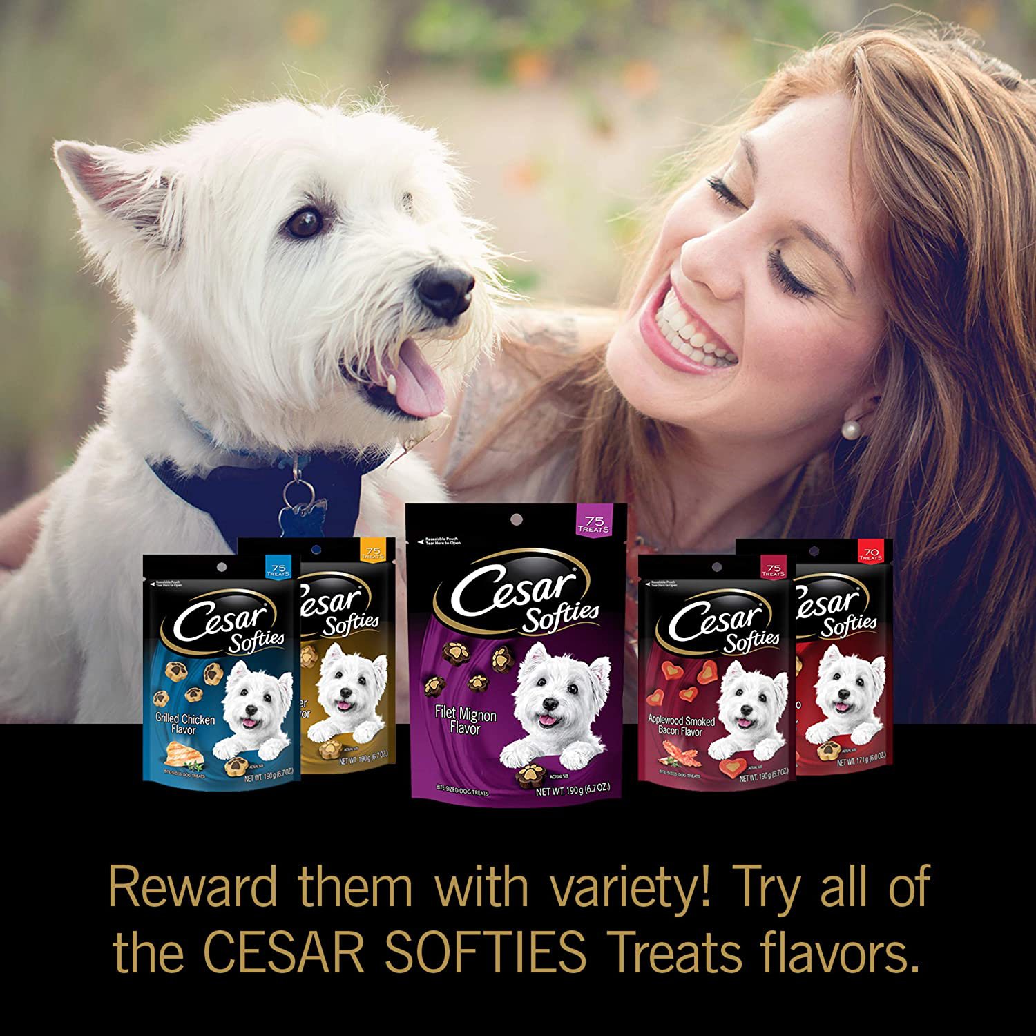 Cesar Softies Dog Treats Animals & Pet Supplies > Pet Supplies > Dog Supplies > Dog Treats Cesar   