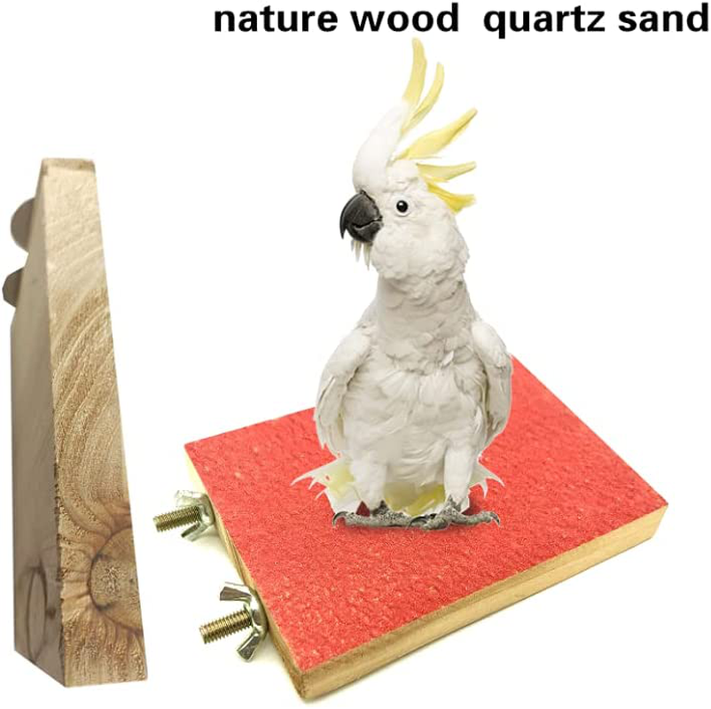 EYHBQIA 8Pcs Bird Toys for Parrots, Natural Wood Stand Parakeet Toys Bird Cage Accessories, Bird Training, Play Game, Foraging Toys. for Small Birds Such as Parrots, Finches, Lovebirds,Cockatiels. Animals & Pet Supplies > Pet Supplies > Bird Supplies > Bird Cages & Stands EYHBQIA