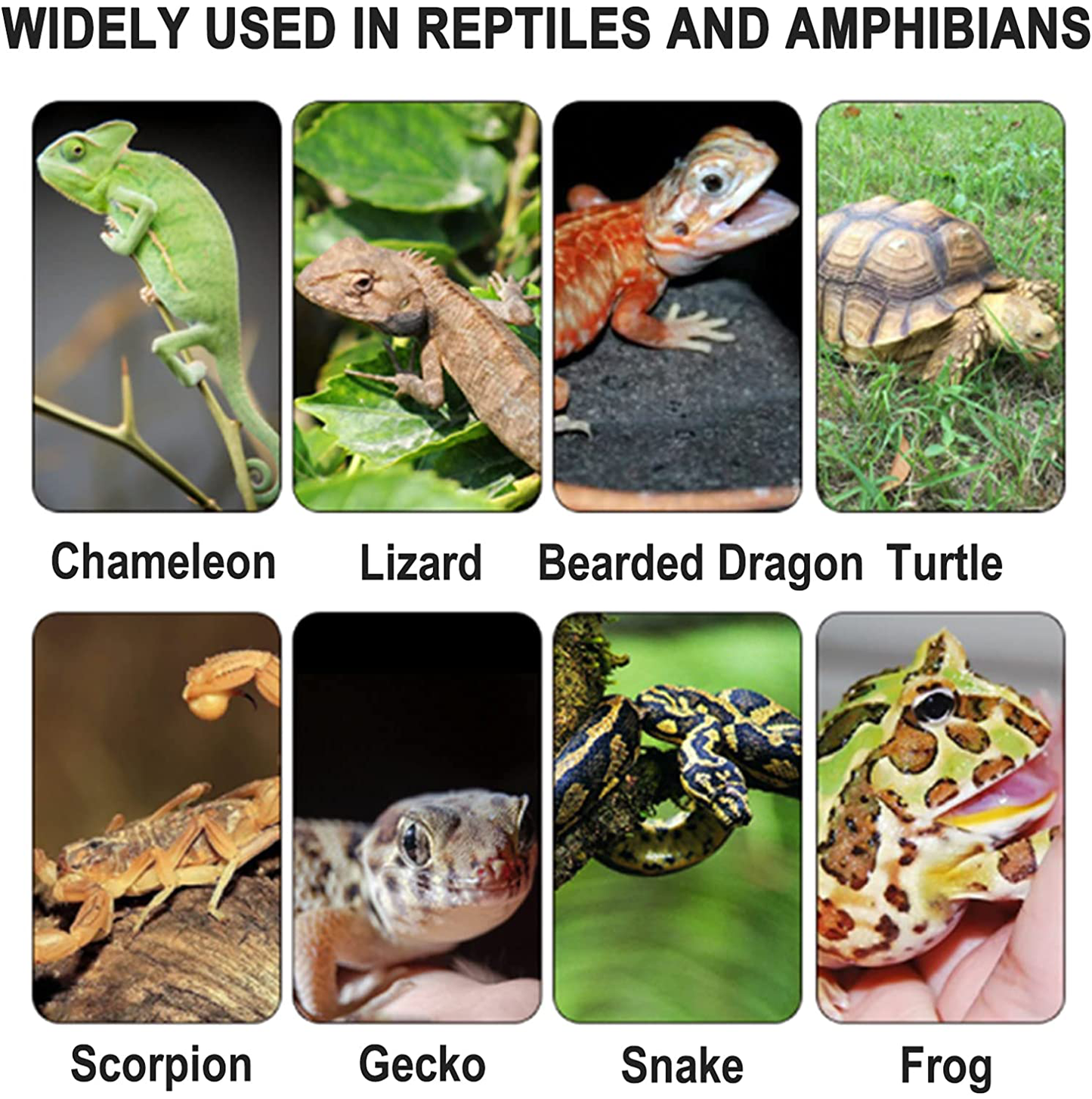 Hamiledyi Large Reptile Hideout Wood Bridge Ladder Hiding Hut Bearded Dragon Hammock Lizards Habitat Decor Climbing Accessories Tortoise Hide Cave Toy for Gecko Snake Chameleon Gecko Iguana Animals & Pet Supplies > Pet Supplies > Small Animal Supplies > Small Animal Habitat Accessories Hamiledyi