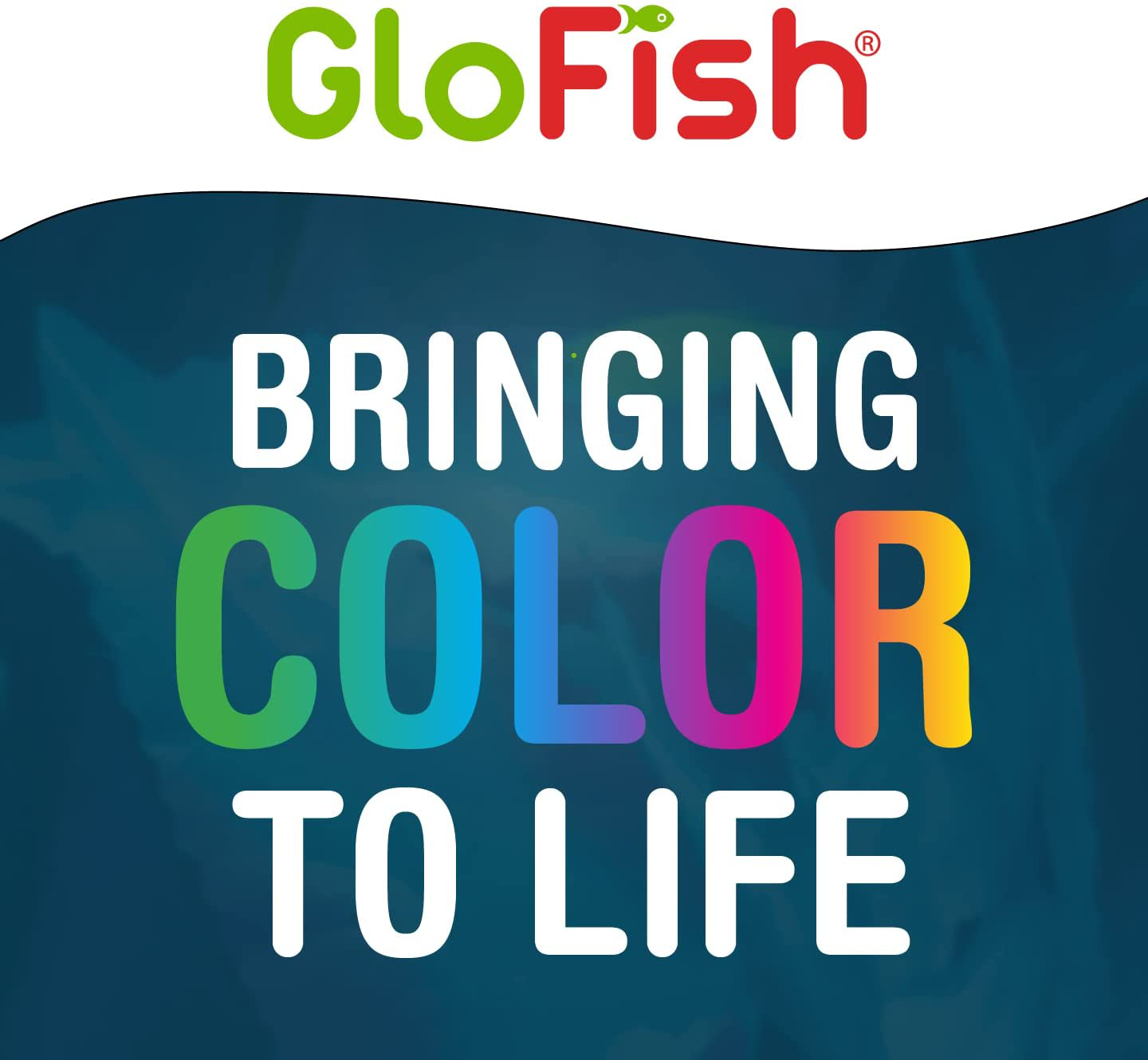 Glofish Aquarium Gravel, Fluorescent Colors, Complements Glofish Tanks, 5-Pound Bag Animals & Pet Supplies > Pet Supplies > Fish Supplies > Aquarium Gravel & Substrates GloFish   