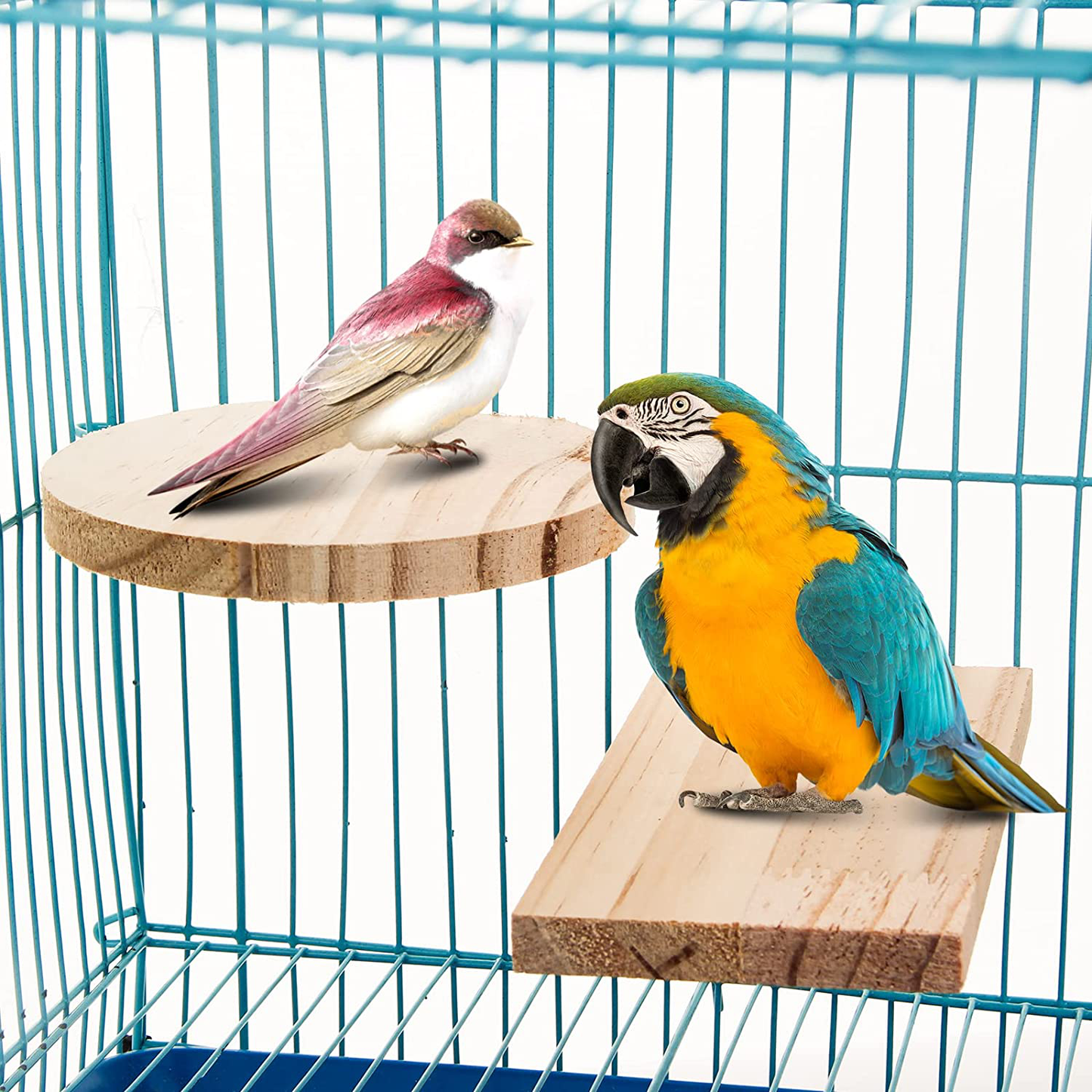 Lenpestia 5Pcs Pet Standing Platform for Dwarf Hamster Squirrel Gerbil Chinchilla, Natural Wooden Parrot Birds Standing Board Guinea Pig Sugar Glider Activity Playground Chinchilla Cage Accessories Animals & Pet Supplies > Pet Supplies > Small Animal Supplies > Small Animal Habitat Accessories lenpestia