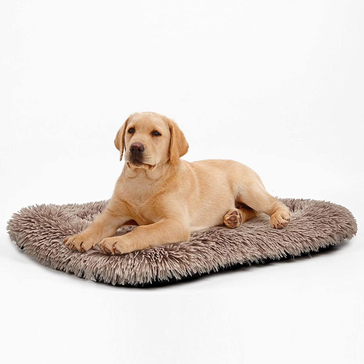 ANWA Dog Bed Medium Size Dogs, Washable Dog Crate Bed Cushion, Dog Crate Pad Large Dogs Animals & Pet Supplies > Pet Supplies > Dog Supplies > Dog Beds ANWA