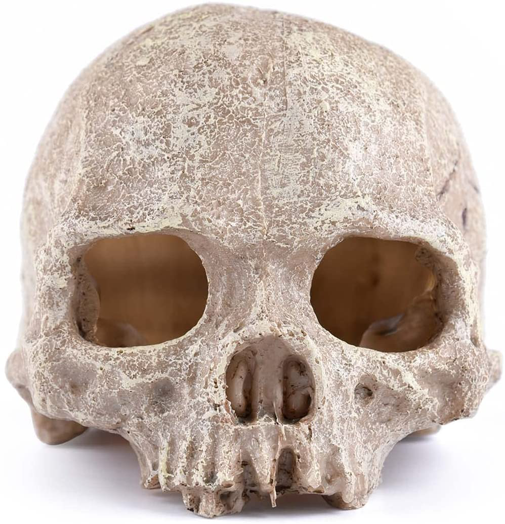Carefree Fish Aquarium Decoration Skull Fish Tank Head Skeleton Aquarium Decorative Cave Landscape Pet Reptile House Animals & Pet Supplies > Pet Supplies > Fish Supplies > Aquarium Decor Carefree Fish 1 White