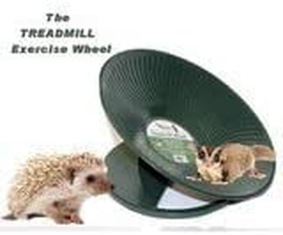 Sturdy Metal Exercise Treadmill 14" Diameter for Chinchillas, Hedgehogs, Prairie Dogs Animals & Pet Supplies > Pet Supplies > Dog Supplies > Dog Treadmills 14" DIAMETER HEAVY METAL EXERCISE TREADMILL