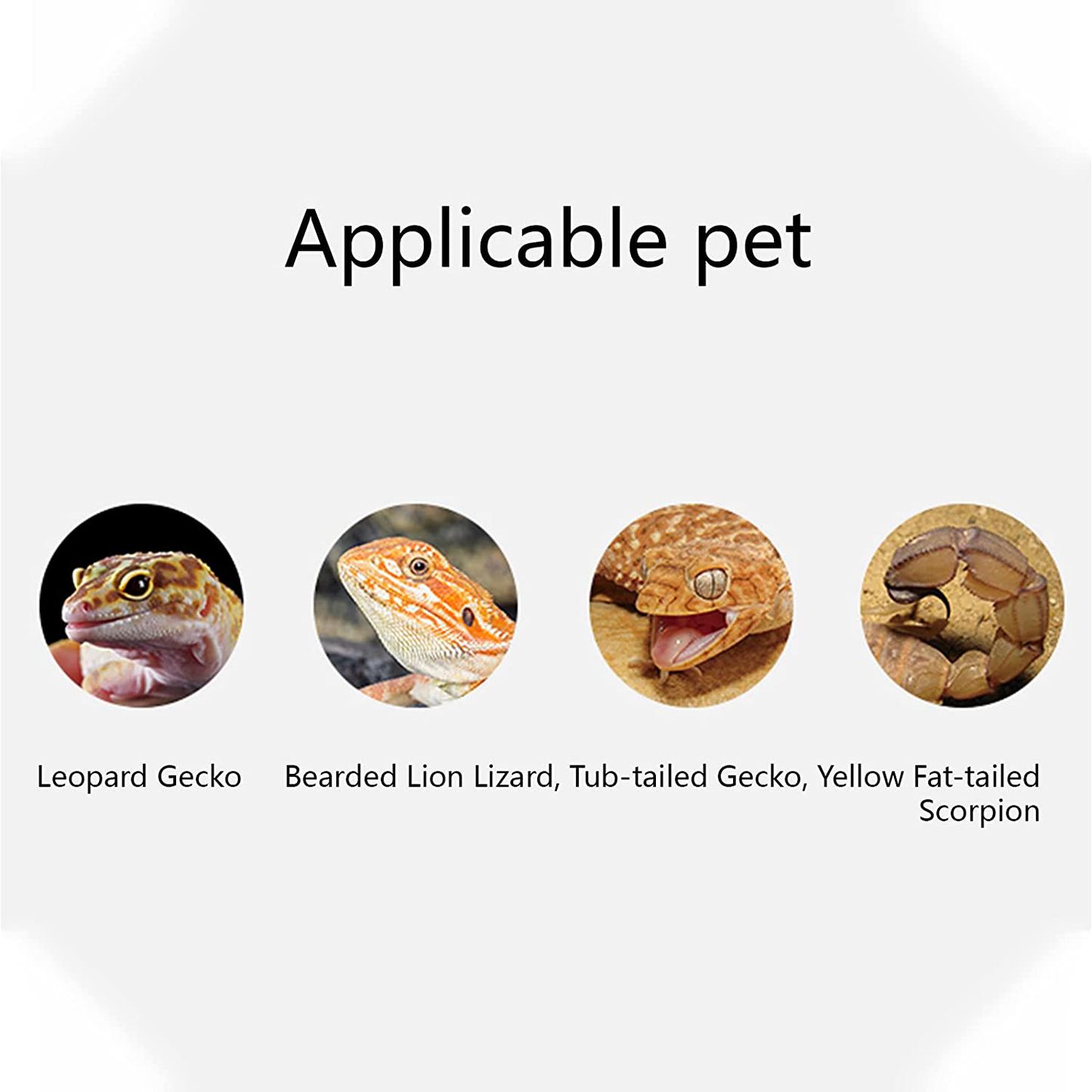 SUPFAKE Reptile Sand Reptile and Amphibian Habitat Décor Desert Terrarium Lizard Calcium Sand Substrate, 4 Lb,Multiple Colour Animals & Pet Supplies > Pet Supplies > Reptile & Amphibian Supplies > Reptile & Amphibian Substrates SUPFAKE