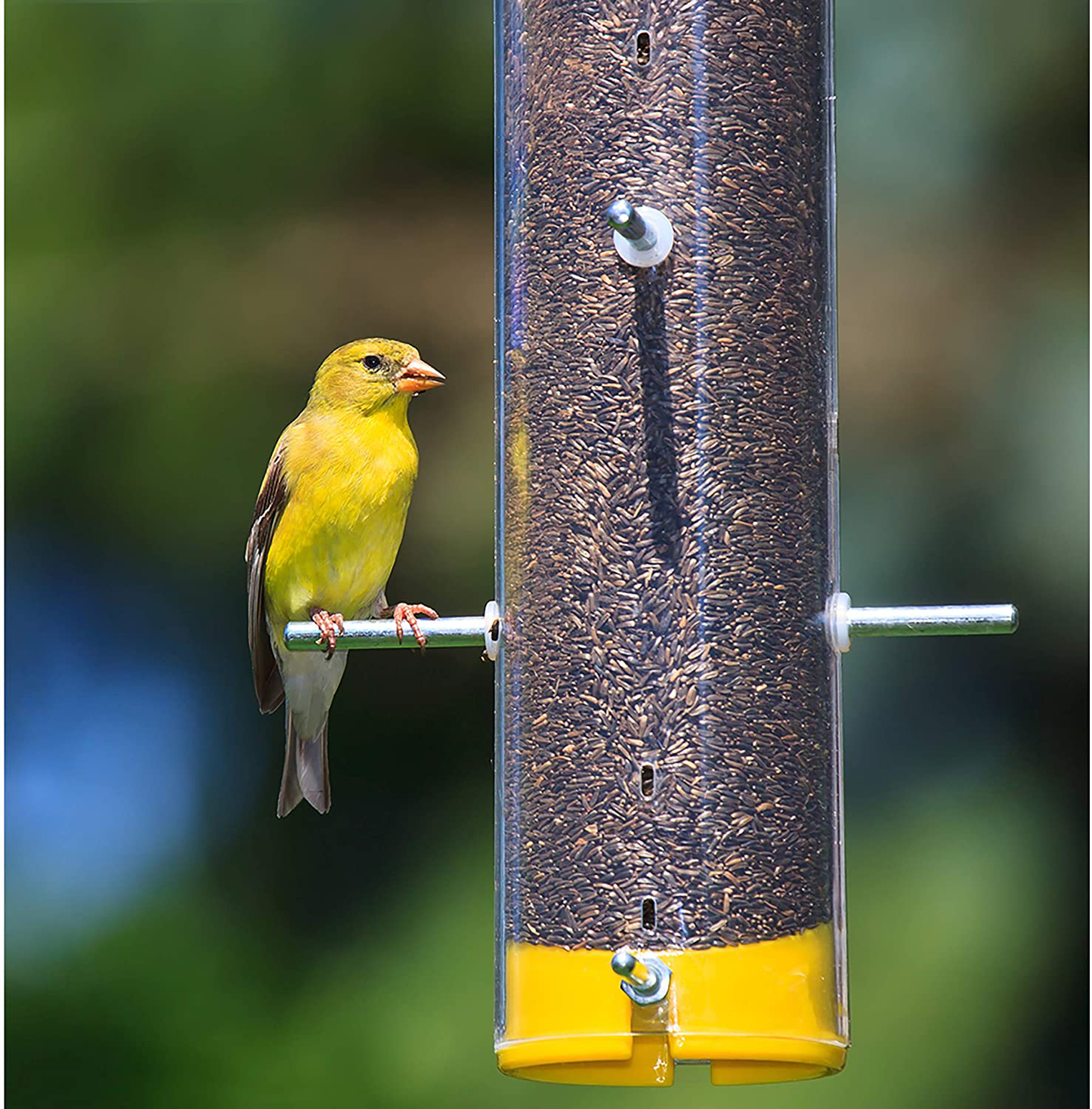 Wagner'S 62051 Nyjer Seed Wild Bird Food, 5-Pound Bag Animals & Pet Supplies > Pet Supplies > Bird Supplies > Bird Food Wagner's