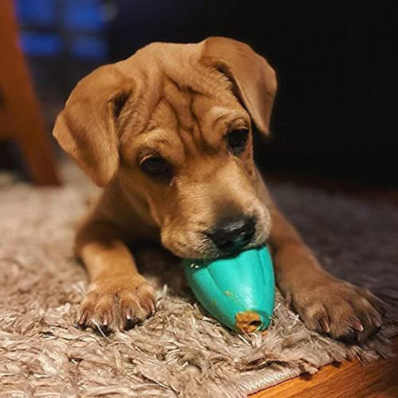 Chew King Premium Treat Dog Toy, Extremely Durable Natural Rubber Toy, Filler Toy, Pack of 2 Animals & Pet Supplies > Pet Supplies > Dog Supplies > Dog Toys Chew King