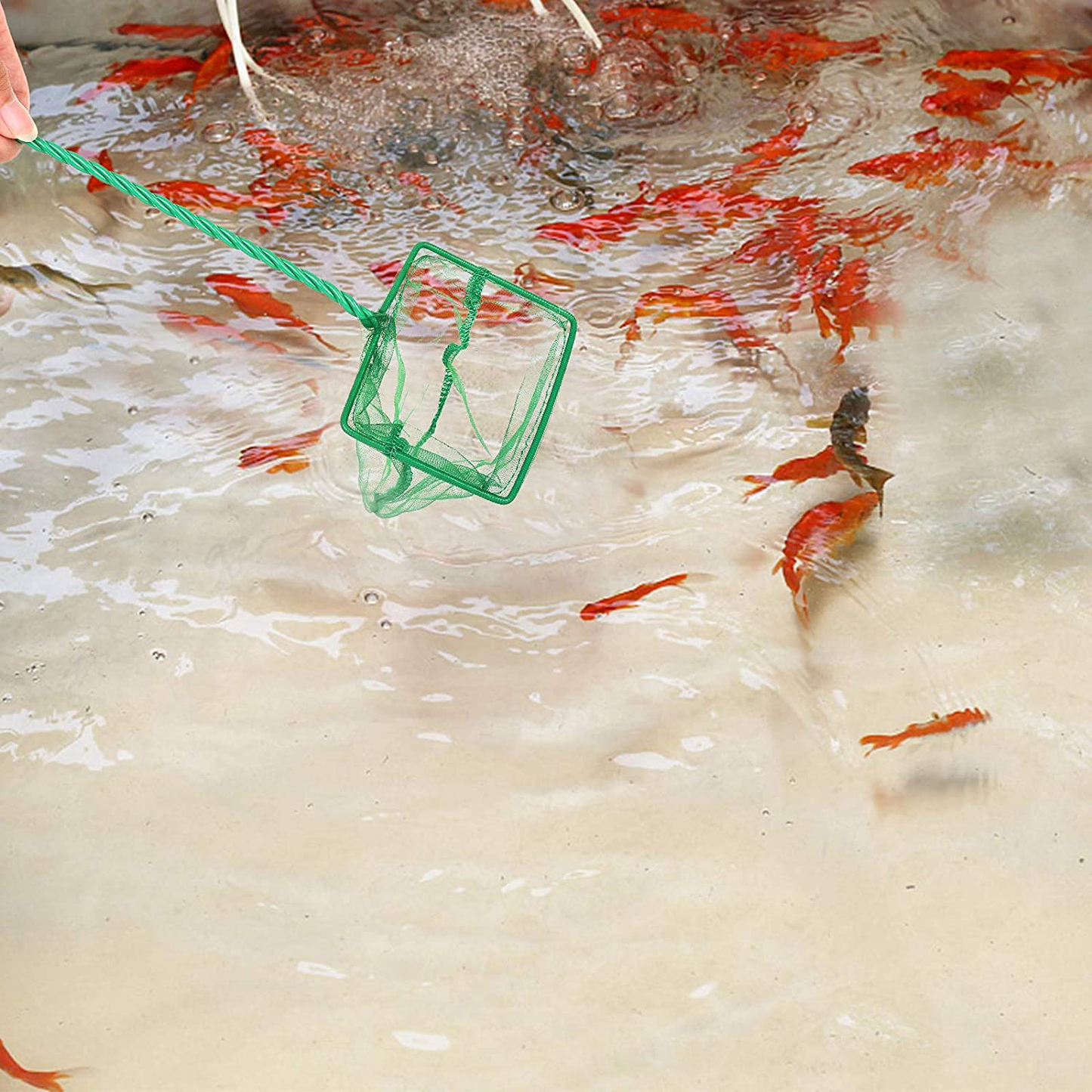 DAGUANZHI Green Aquarium Fish Net Fine Mesh Aquarium Fish Skimmer Net Aquarium Net Scoop with Plastic Handle for Catching Small Fish Shrimp Aquatic Plants Fish Tanks and Bowls Animals & Pet Supplies > Pet Supplies > Fish Supplies > Aquarium Fish Nets DAGUANZHI