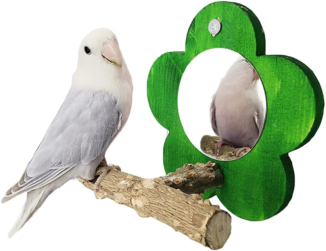 BIGCAKE Bird Mirror with Perch, Natural Parrot Stand Wooden Stick Toys for Small Parrot Canaries Parakeet Cockatiel Lovebird Conure Lorikeet Budgie Cockatoo Finch Animals & Pet Supplies > Pet Supplies > Bird Supplies > Bird Cage Accessories BIGCAKE Green