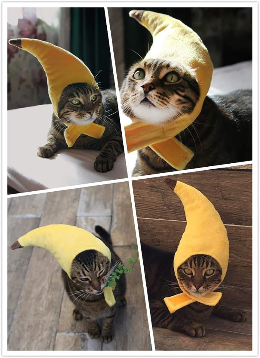 Vehomy Pet Halloween Banana Hat Cat Dog Halloween Thanksgiving Headgear Costume Pet Banana Cap Halloween Apparel for Cats Kitten Puppy Small Dogs Animals & Pet Supplies > Pet Supplies > Cat Supplies > Cat Apparel Vehomy