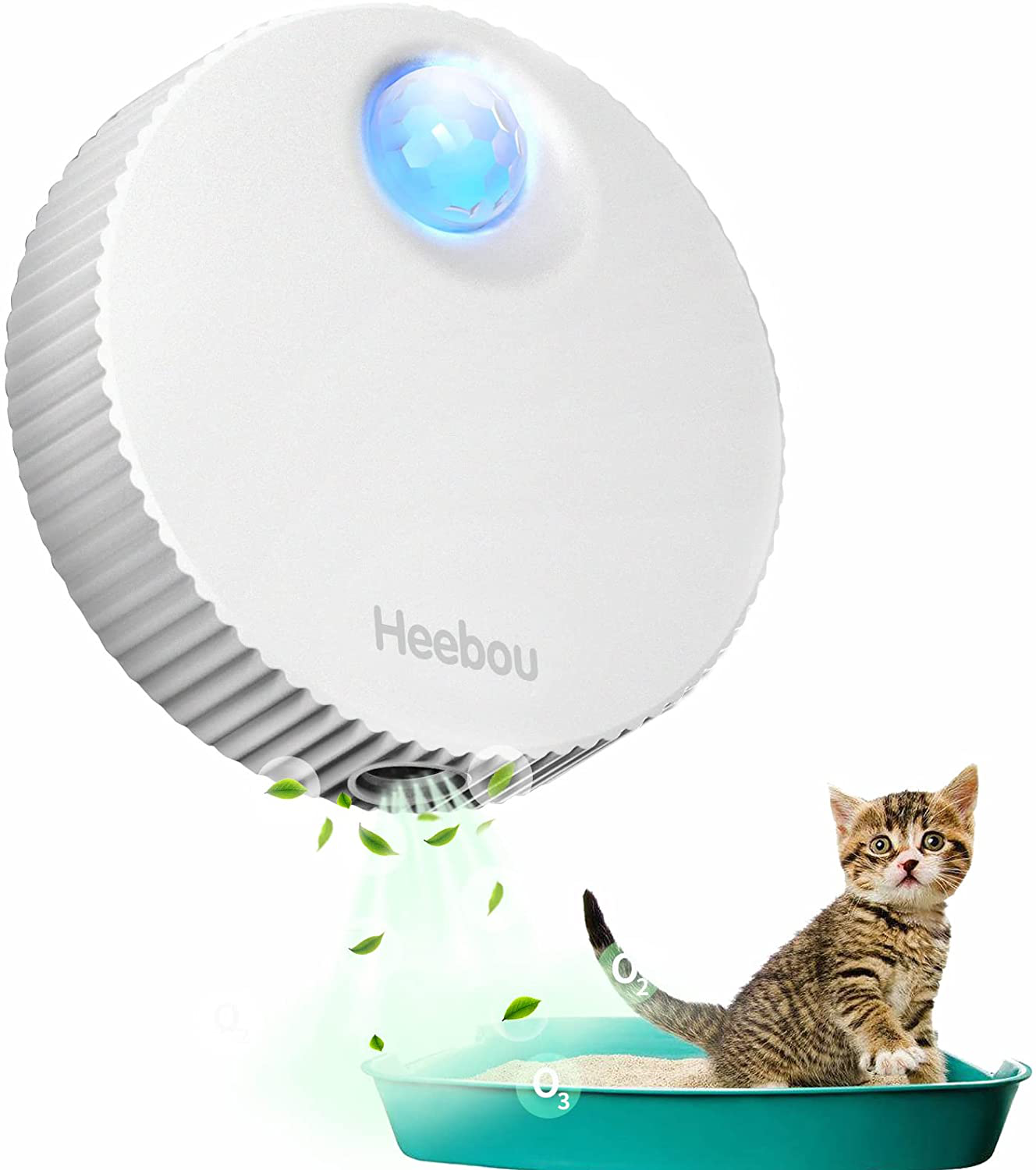 Air purifier for best sale litter box odor