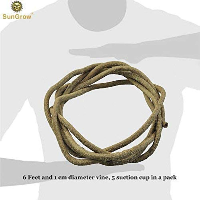Sungrow Animal Vine, 6 Feet Long, Twistable Branch, Creates Realistic Habitat for Reptiles and Amphibians, Décor and Climbing Toy for Chameleons, Tree Frogs and Geckos, Includes 5 Suction Cups Animals & Pet Supplies > Pet Supplies > Reptile & Amphibian Supplies > Reptile & Amphibian Habitats SunGrow