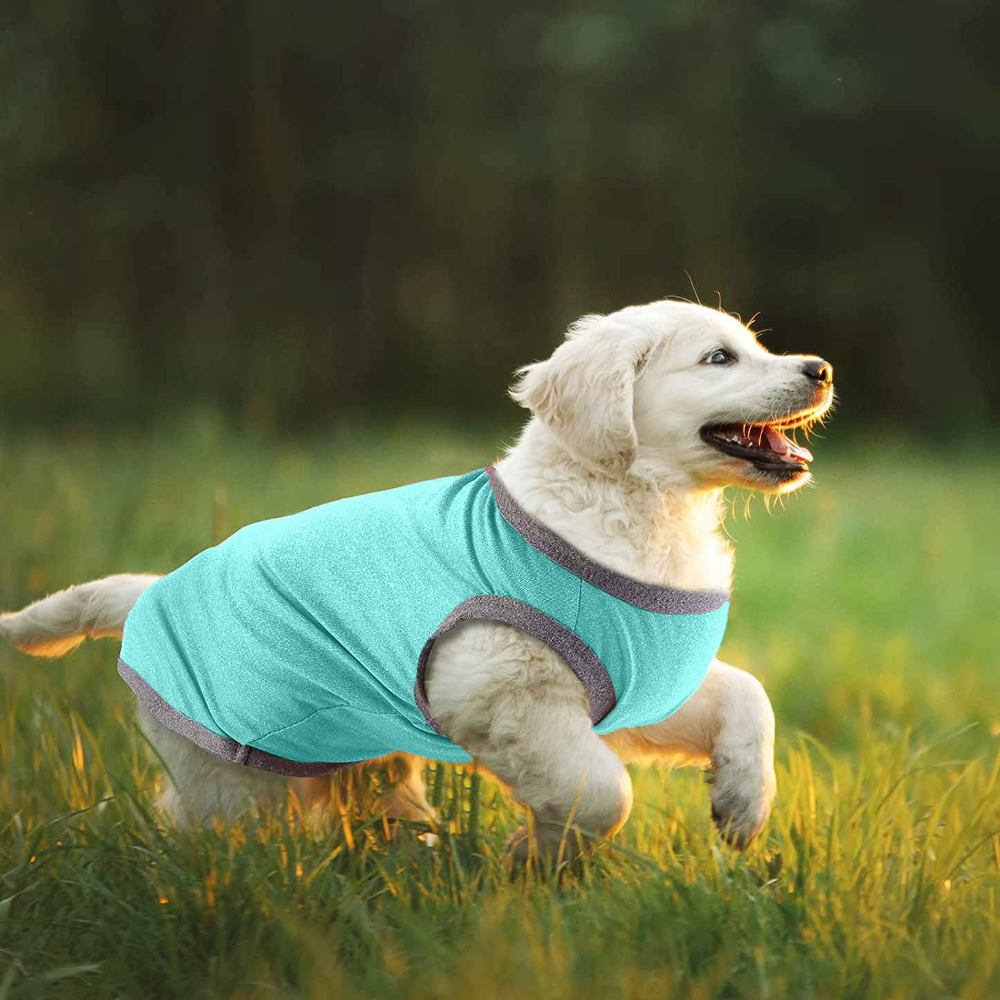 URATOT 6 Pack Pet Sleeveless Vest Dogs Shirts 6 Colors Puppy Outfit Tank Top Sleeveless Vest Cat Shirts Dog Clothes, Small Animals & Pet Supplies > Pet Supplies > Cat Supplies > Cat Apparel URATOT