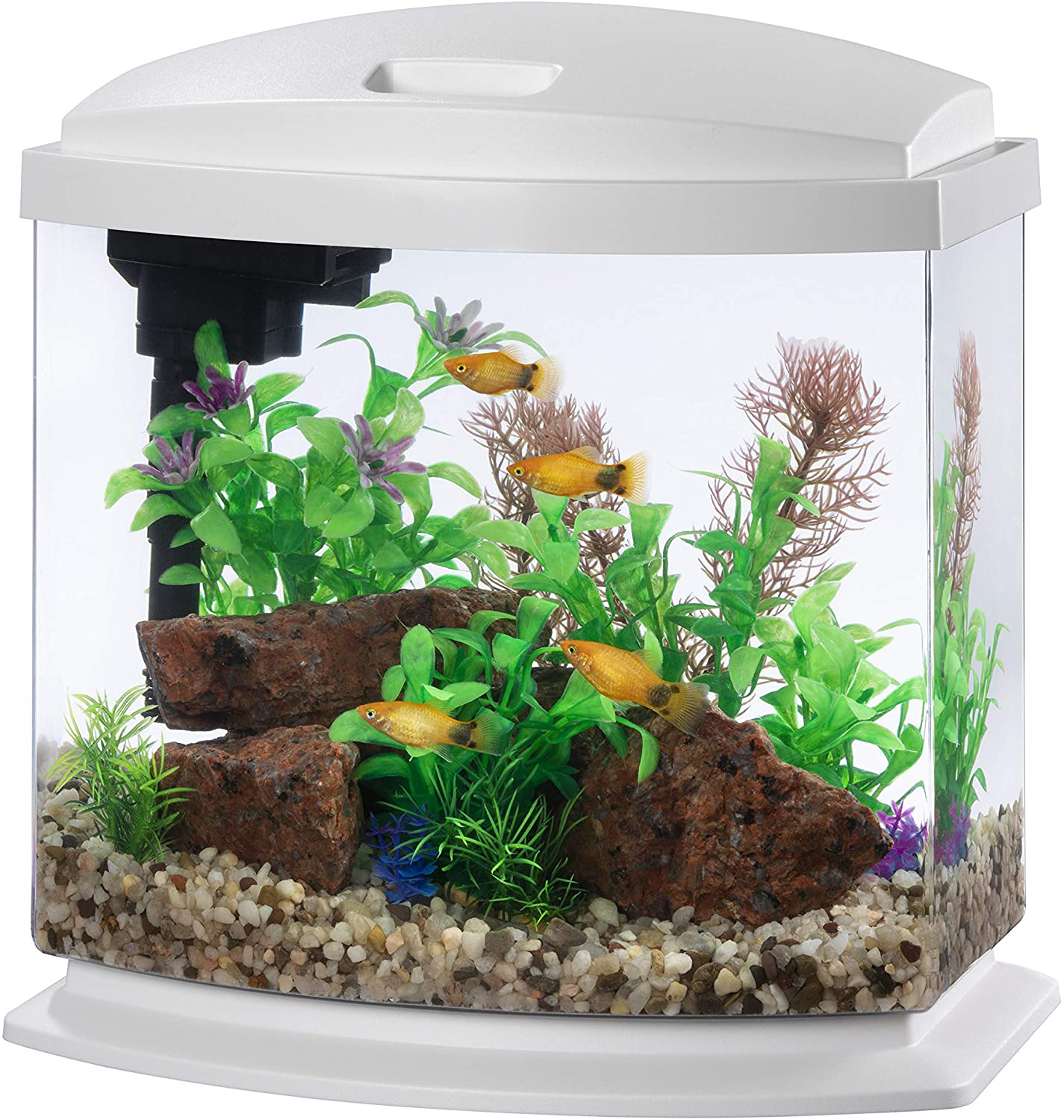 Aqueon LED Minibow Kit with Smartclean Technology Animals & Pet Supplies > Pet Supplies > Fish Supplies > Aquarium Fish Nets Aqueon White 2.5 Gallon (ECOM)