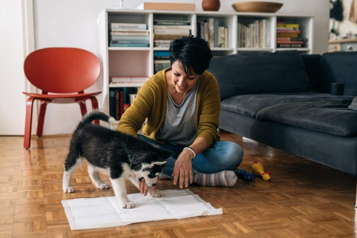 CAILOS Rabbit Pee Pads, Disposable Super Absorbent Diaper, Pet Toilet/Potty Training Pads for Guinea Pigs, Hedgehog, Hamsters, Chinchillas, Cats, and Other Small Animals Animals & Pet Supplies > Pet Supplies > Small Animal Supplies > Small Animal Bedding CAILOS