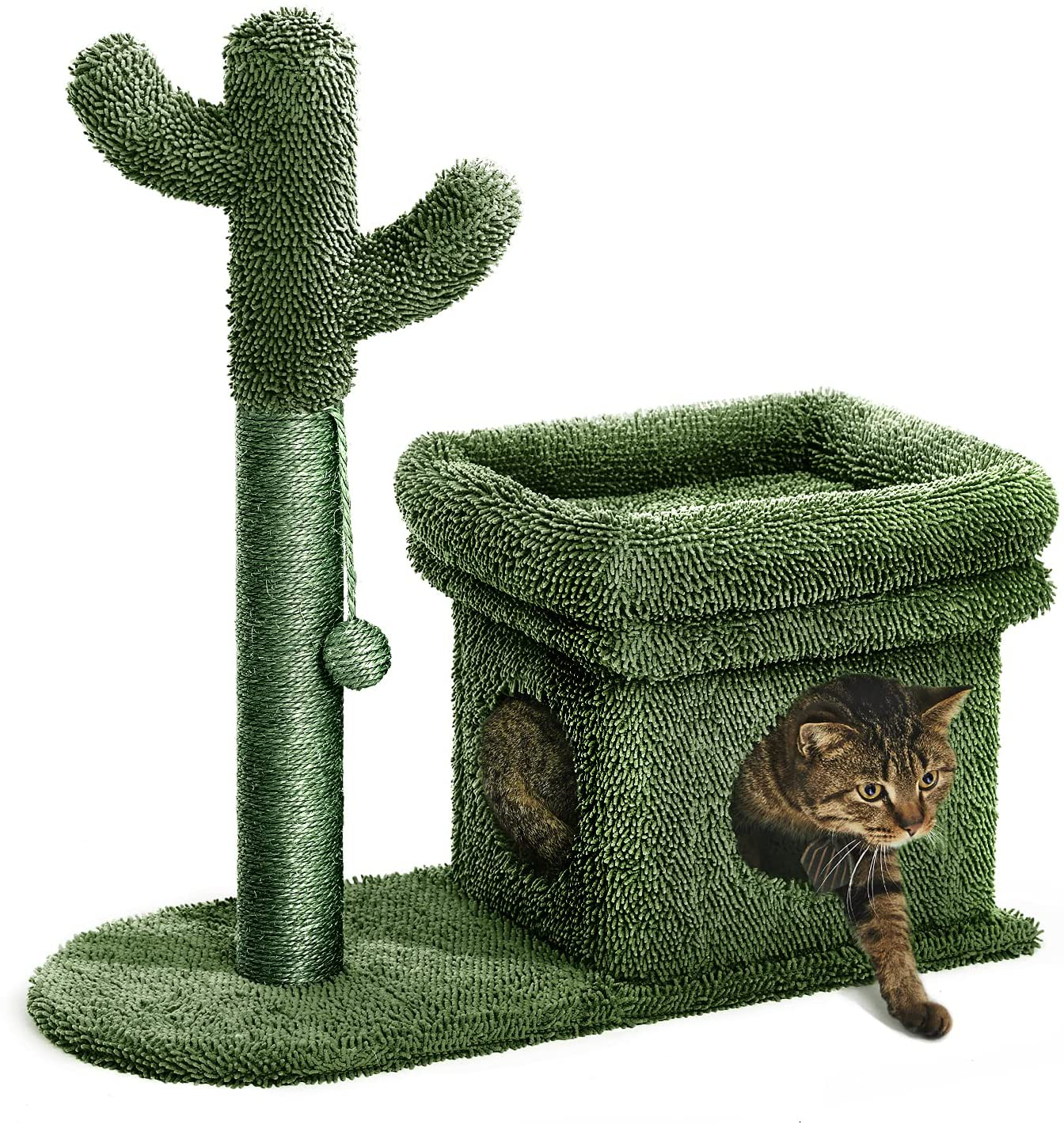 Catinsider 2 in 1 Cat Scratching Post Kitty Condo with Dangling Ball for Small Cats Green Animals & Pet Supplies > Pet Supplies > Cat Supplies > Cat Furniture Catinsider   