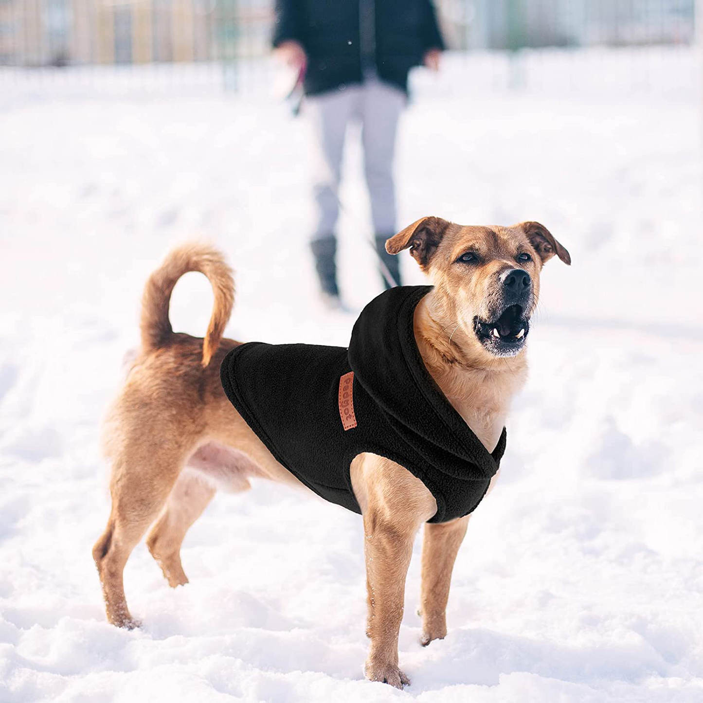 Pedgot 2 Pieces Dog Fleece Vest Hoodie Warm Dog Apparel Clothes Pet Sweater Vest Dog Pullover for Indoor and Outdoor Winter Use Animals & Pet Supplies > Pet Supplies > Dog Supplies > Dog Apparel Pedgot