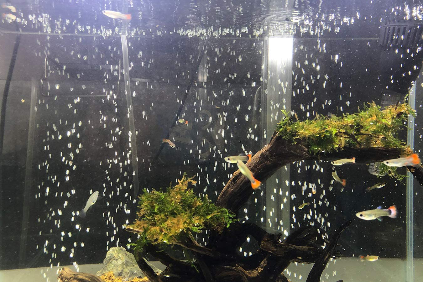 J-Star Aquarium Flexible Rubber Wall Air Curtain Bubble Oxygen Bubble Tube Bendable Bubble Wall Air Diffuser for Fish Tank Animals & Pet Supplies > Pet Supplies > Fish Supplies > Aquarium Air Stones & Diffusers J-star