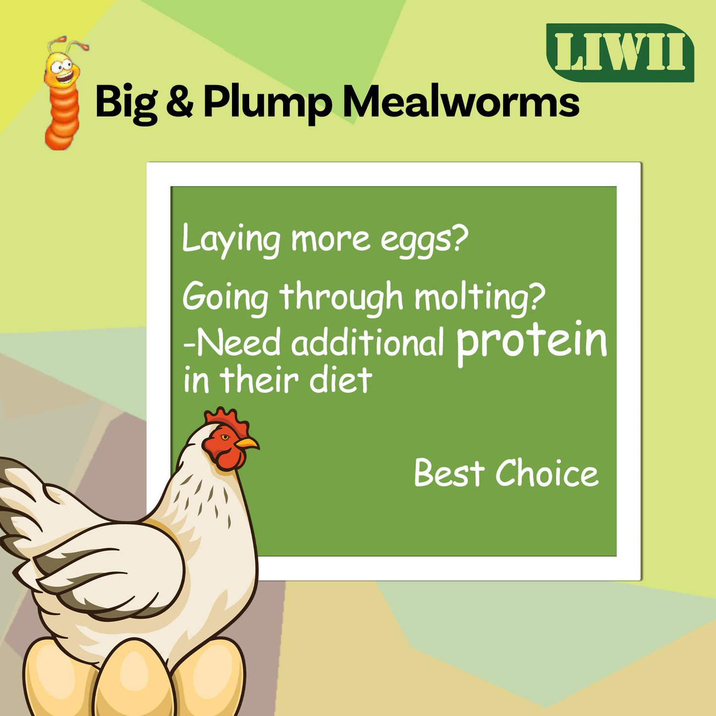 Dried Mealworms -5 LBS- 100% Natural Non GMO High Protein Mealworms - Bulk Mealworms for Wild Birds, Chicken Treats, Hamster Food, Gecko Food, Turtle Food, Lizard Food Animals & Pet Supplies > Pet Supplies > Bird Supplies > Bird Treats Liwii